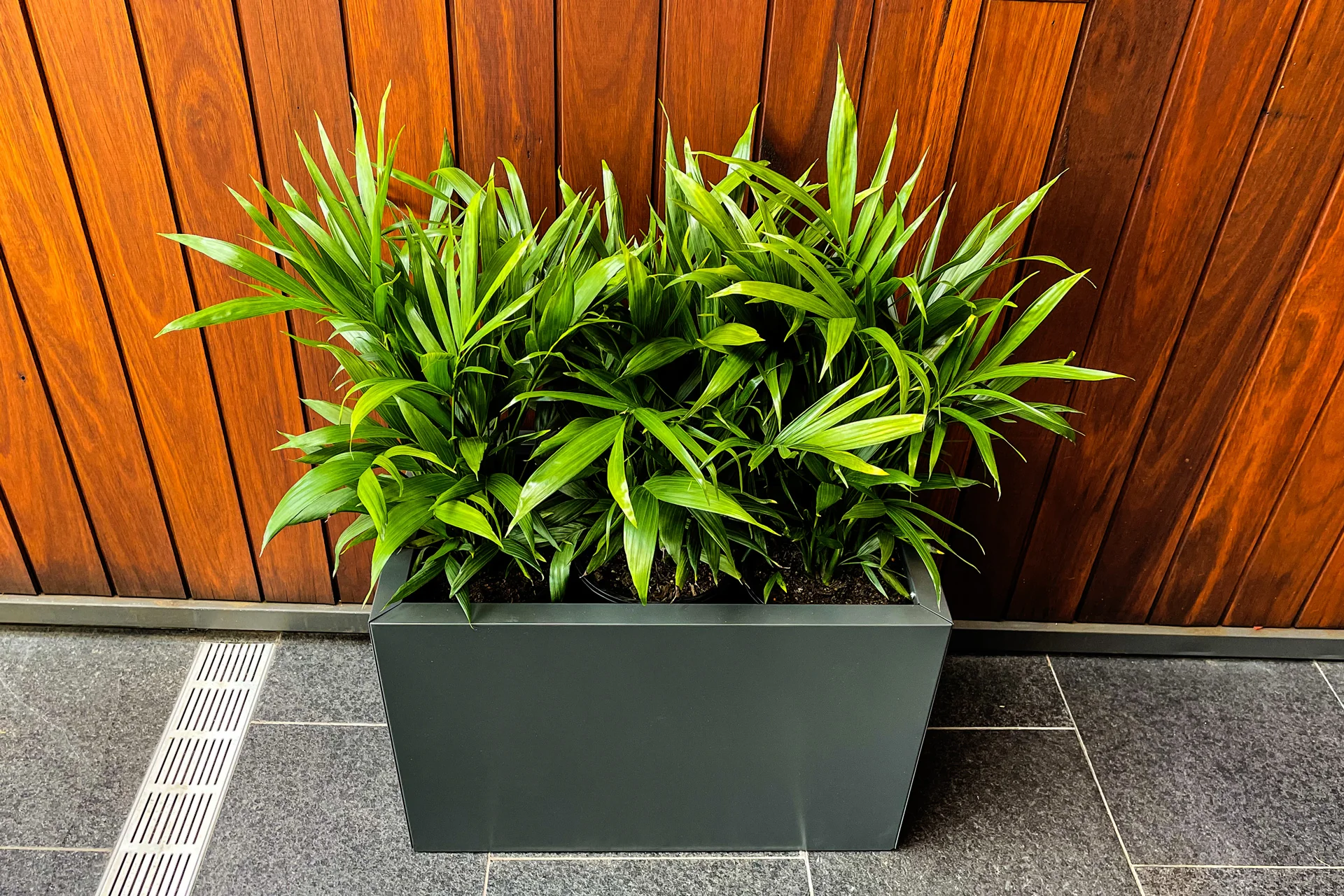 Greenlife Metal Designer Planter Box with Base 600 x 340 x 400mm Charcoal - Image 2