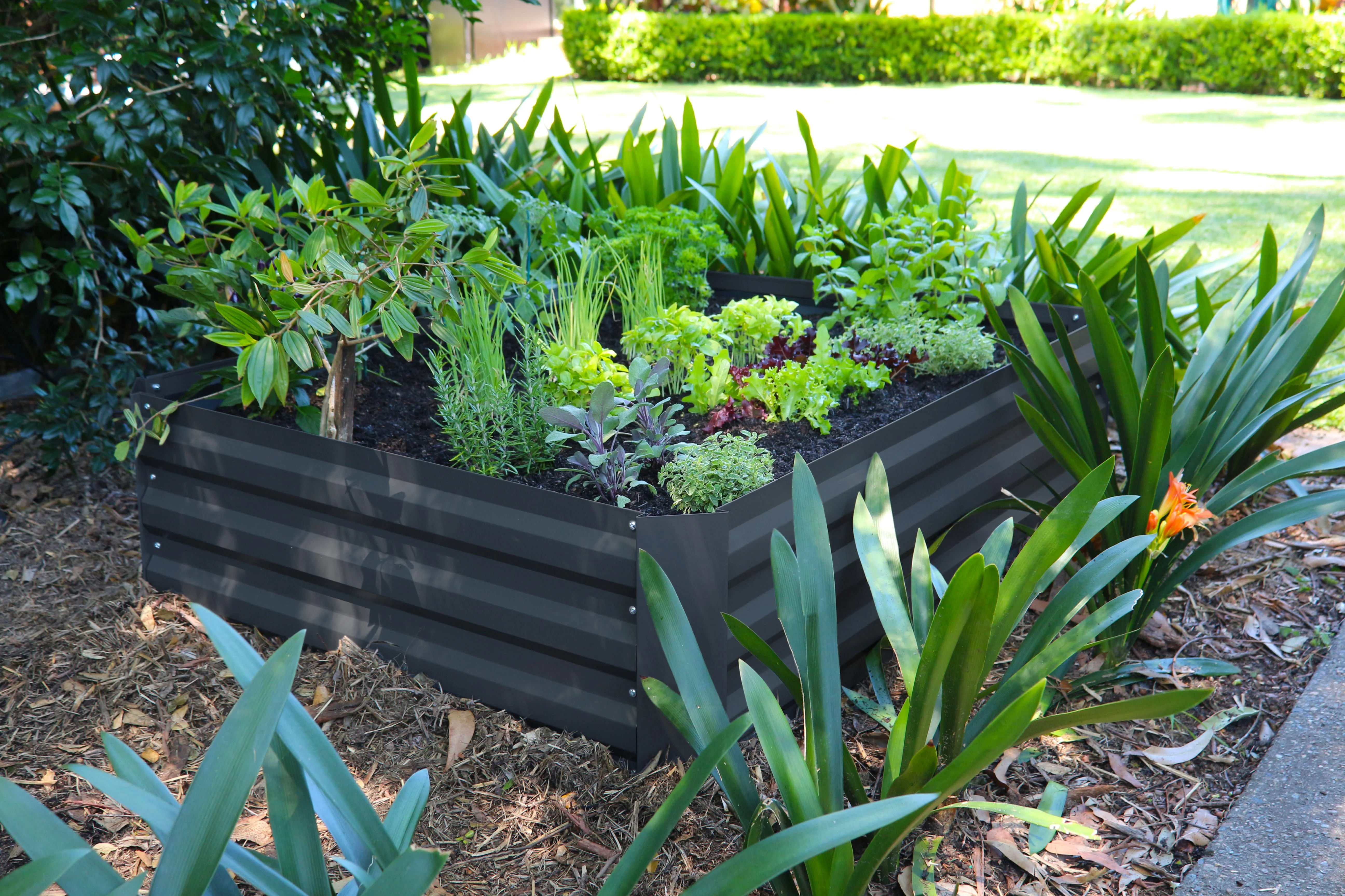 Greenlife Raised Garden Bed - 1200 x 900 x 300mm - Charcoal - Image 8
