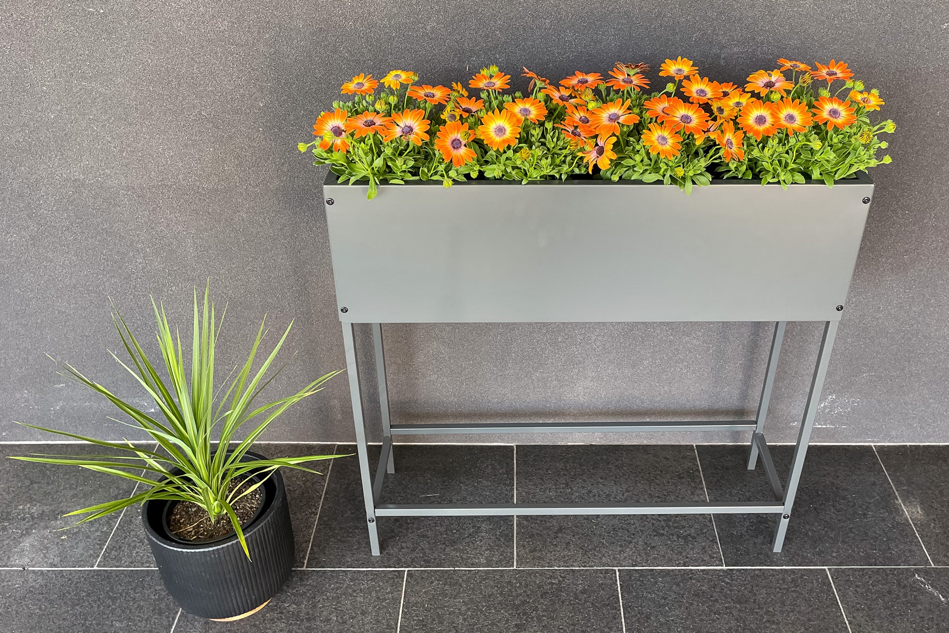 Greenlife Raised Planter Box - 800 x 240 x 800mm - Charcoal - Image 4