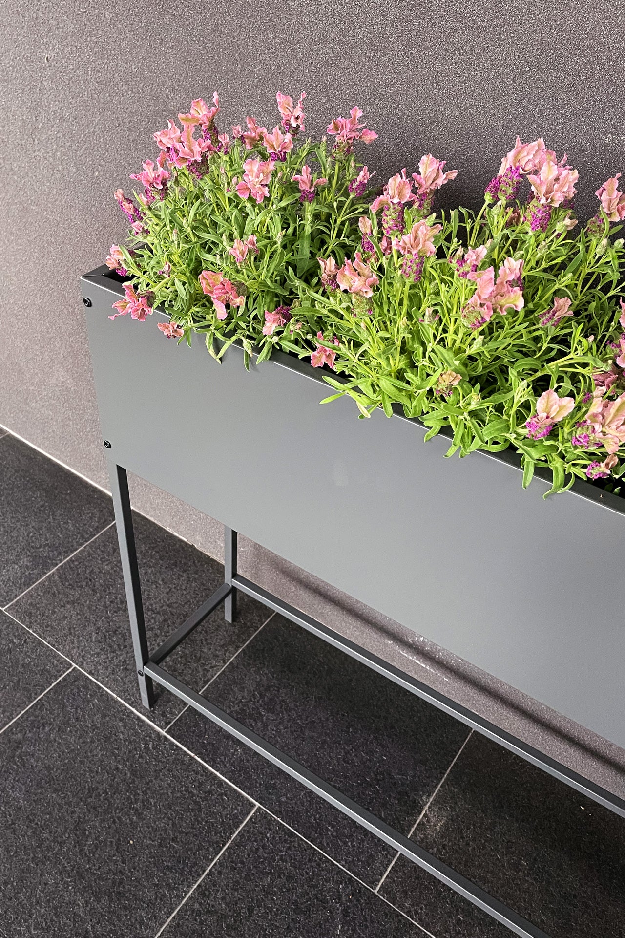 Greenlife Raised Planter Box - 800 x 240 x 800mm - Charcoal - Image 8