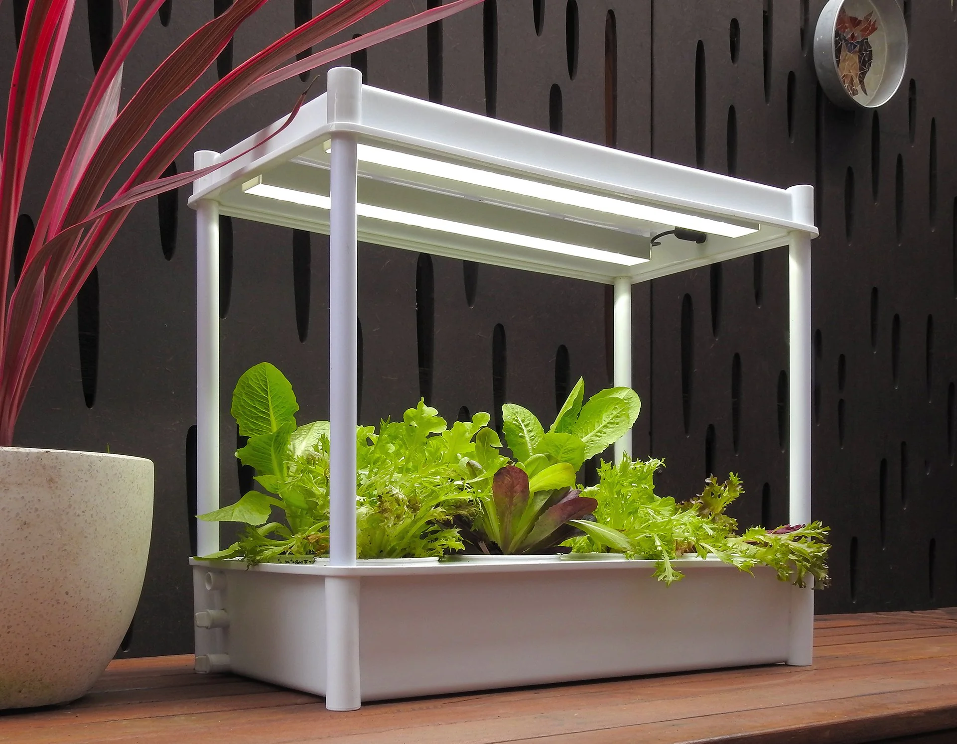 Greenlife Self-Watering Salad Planter Grower with LED Lights and 8 Pots - White - Image 2