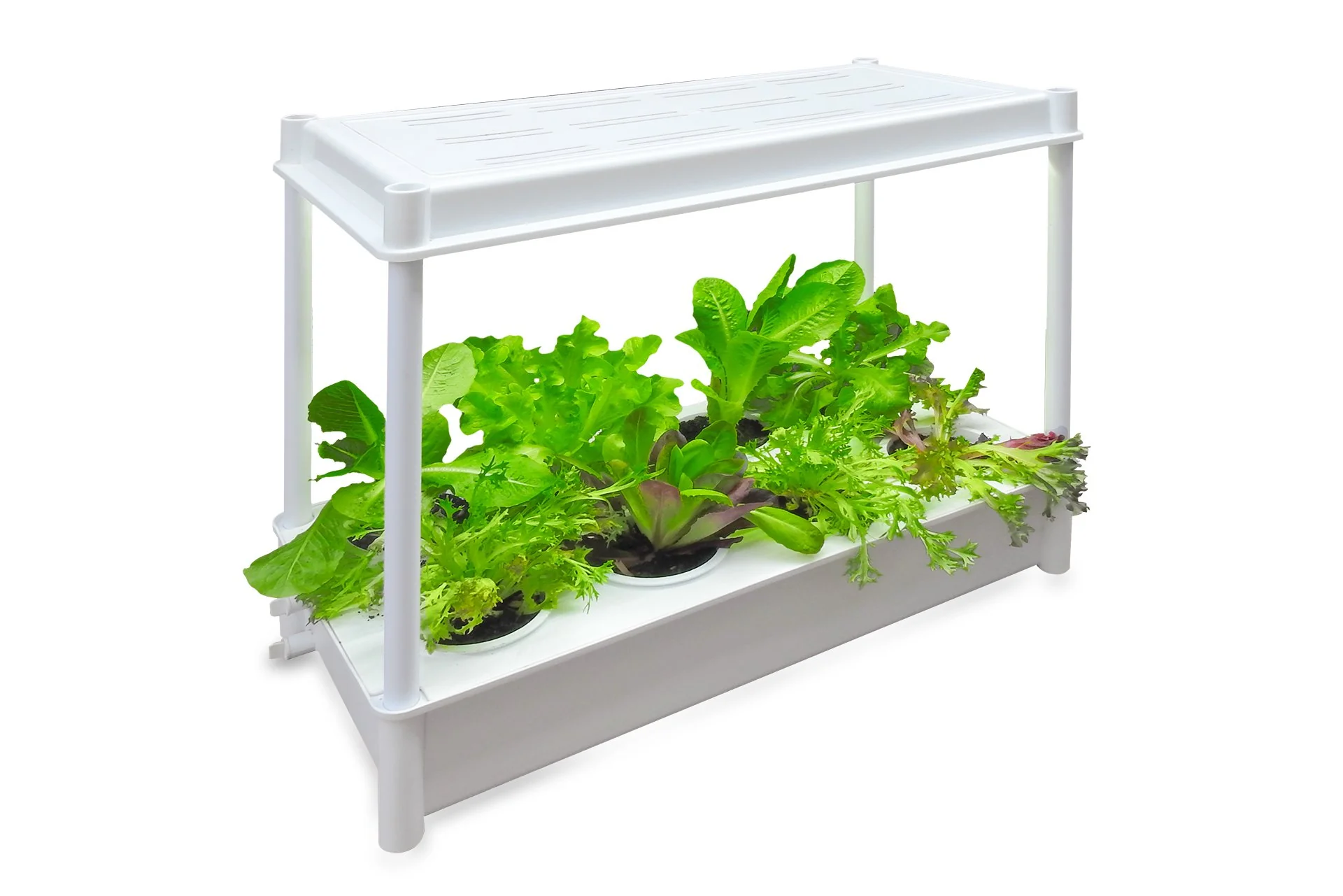 Greenlife Self-Watering Salad Planter Grower with LED Lights and 8 Pots - White - Image 3