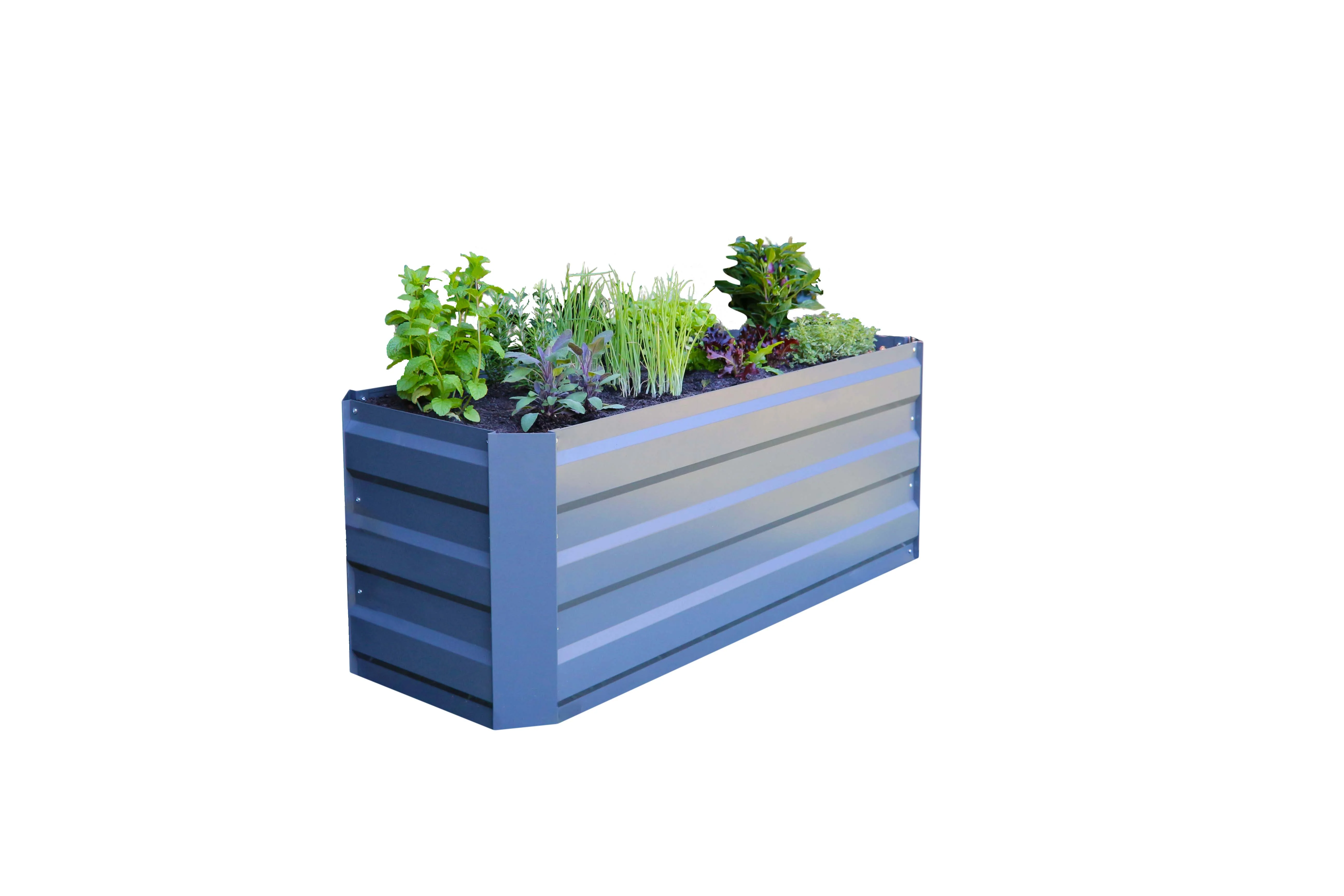 Greenlife Slimline Garden Bed Slate Grey + Drop Over PE Greenhouse 1250 x 500 x 990 - Image 2