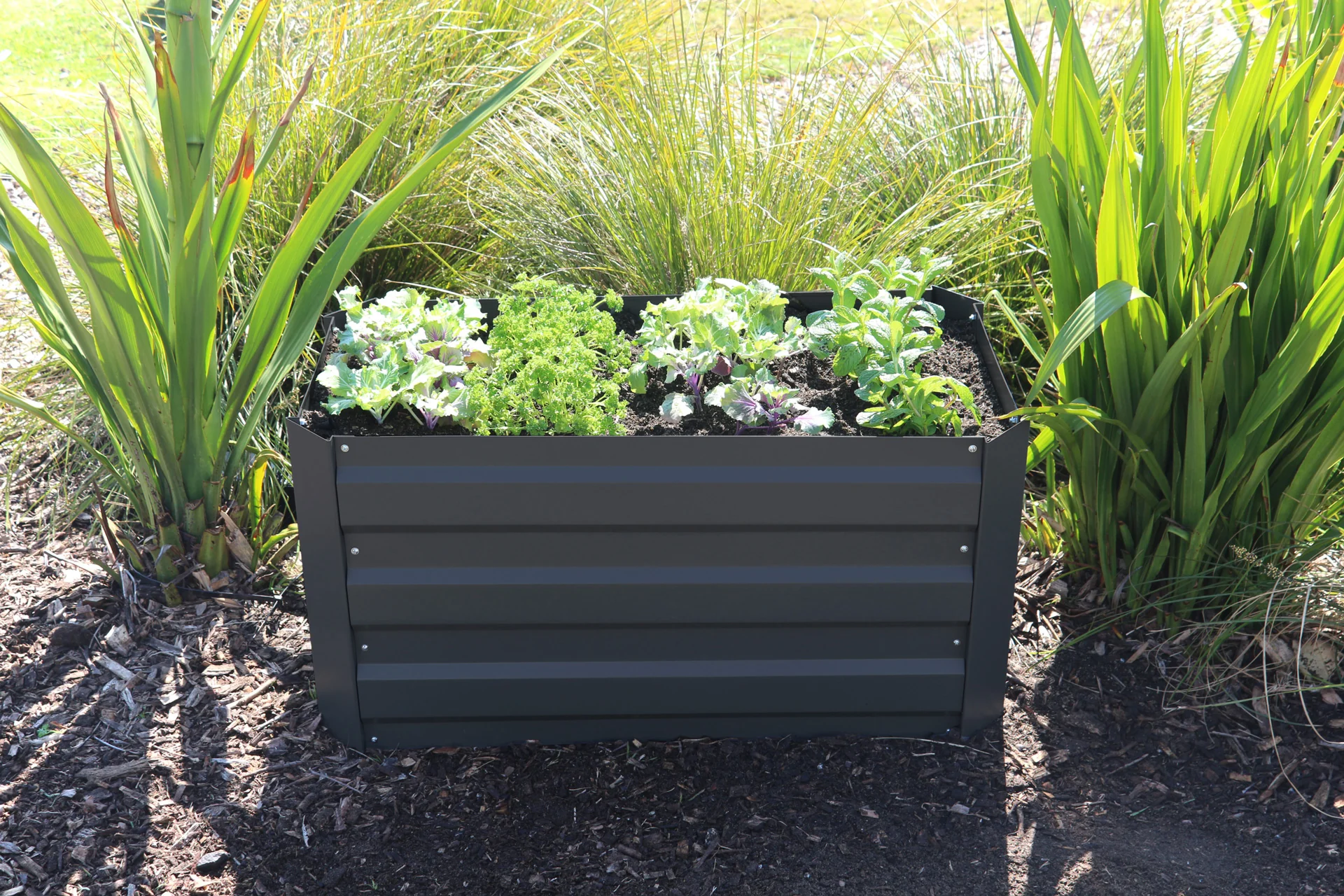 Greenlife Slimline Raised Garden Bed - 900 x 450 x 450mm - Charcoal - Image 2