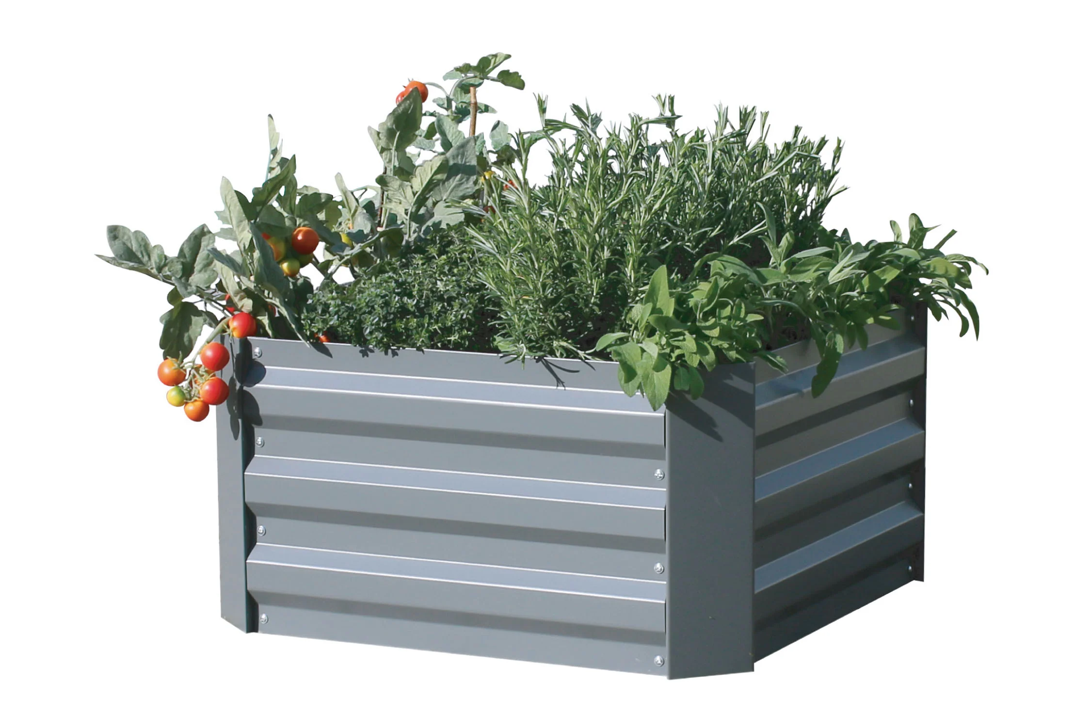 Greenlife Small Metal Raised Garden Bed 600 x 600 x 300mm Slate Grey - Image 4