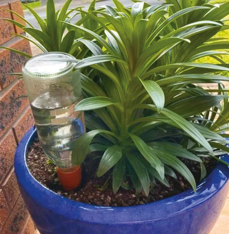 Greenlife Terracotta Self-watering Plant Pot Spikes - 4 PACK - Image 4