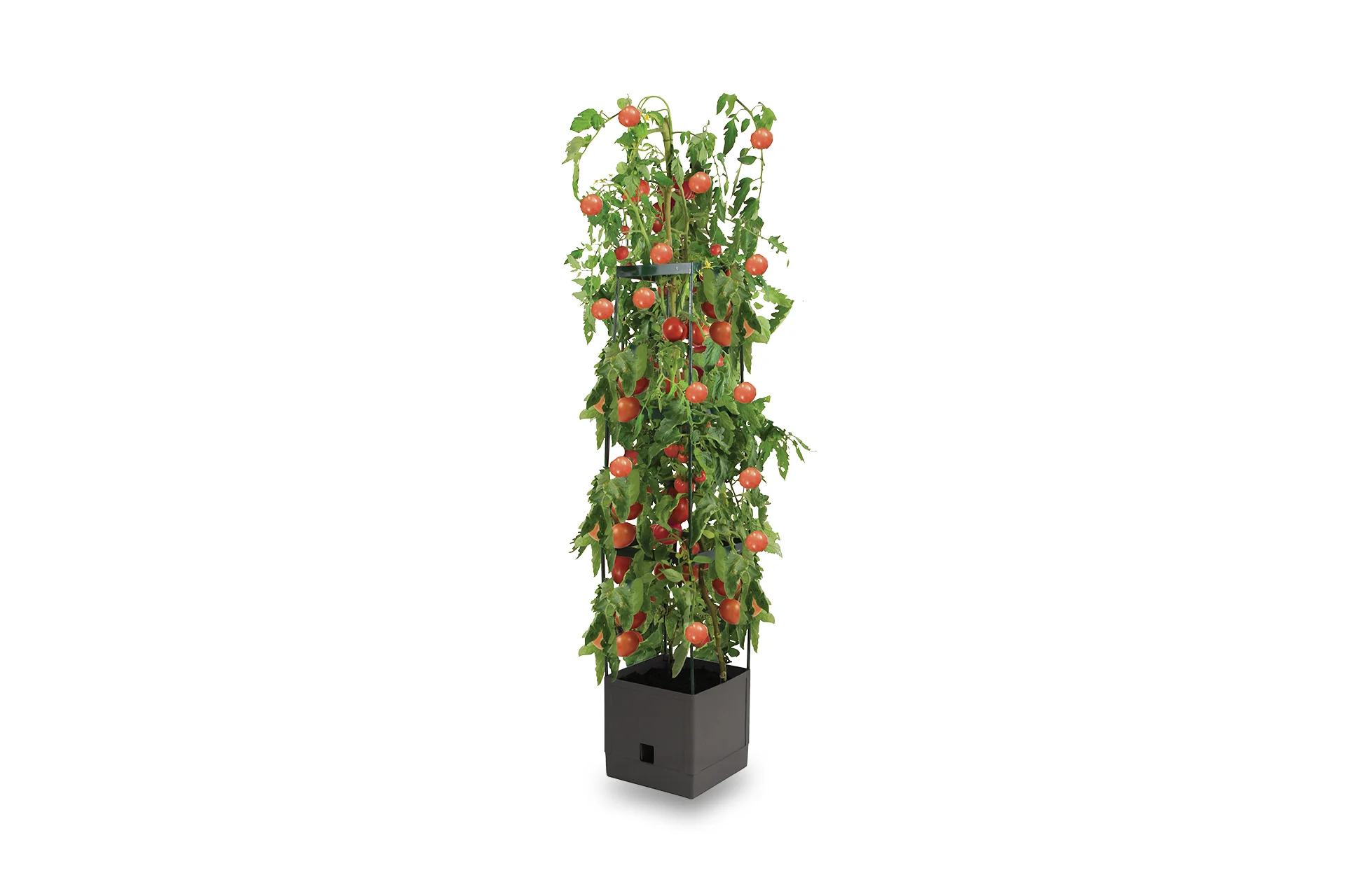 Greenlife Tomato Growing Tower 3 Tier with Self Watering Pot - Slate Grey
