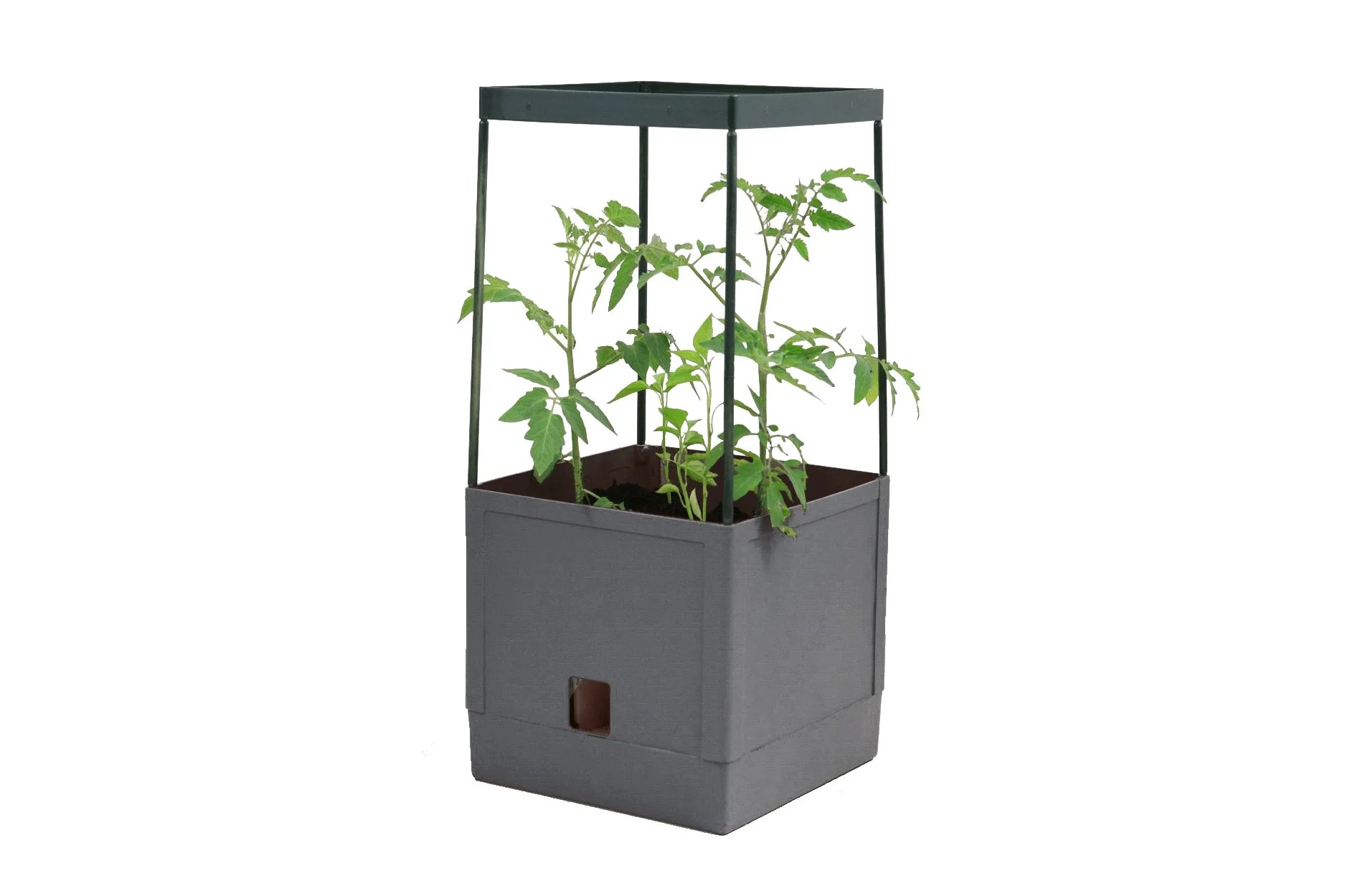 Greenlife Tomato Growing Tower 3 Tier with Self Watering Pot - Slate Grey - Image 3