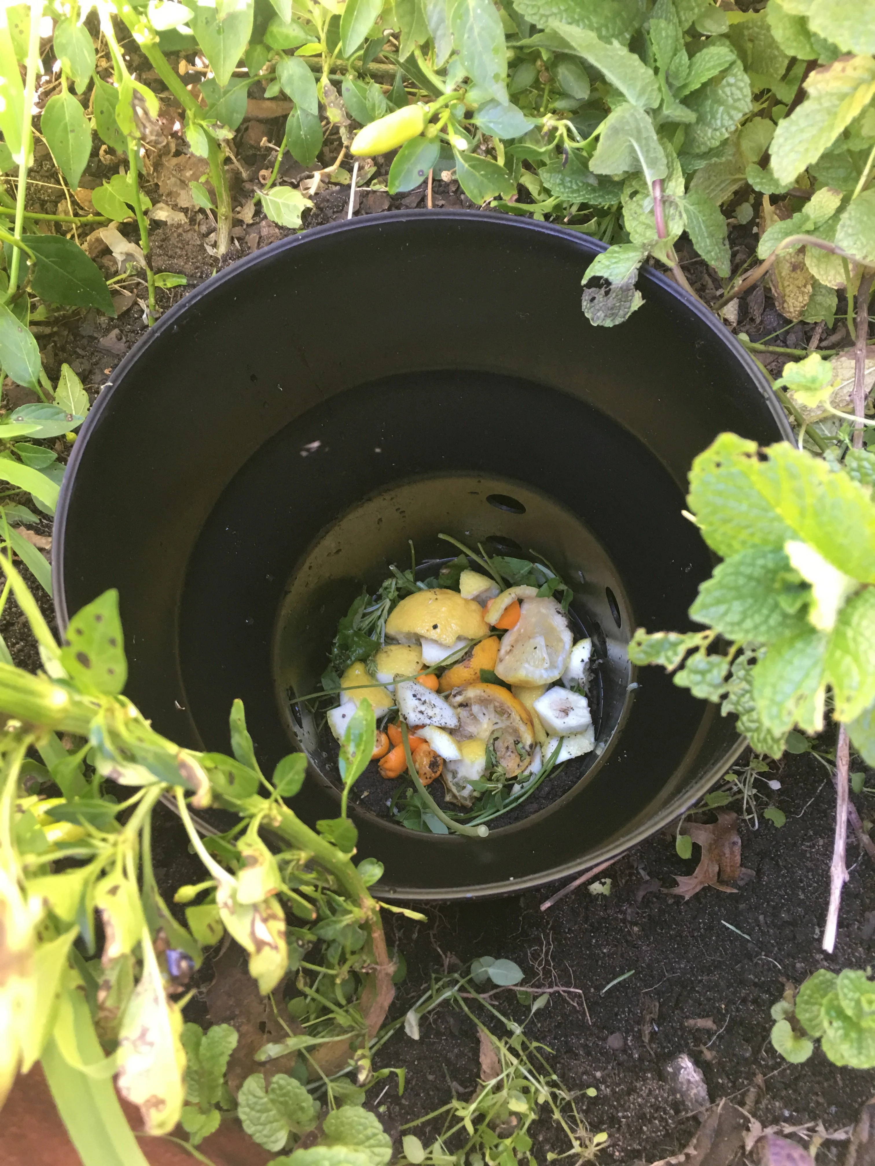 Greenlife Premium Worm Farm In-Ground Micro Compost Tower for Gardens - Image 8