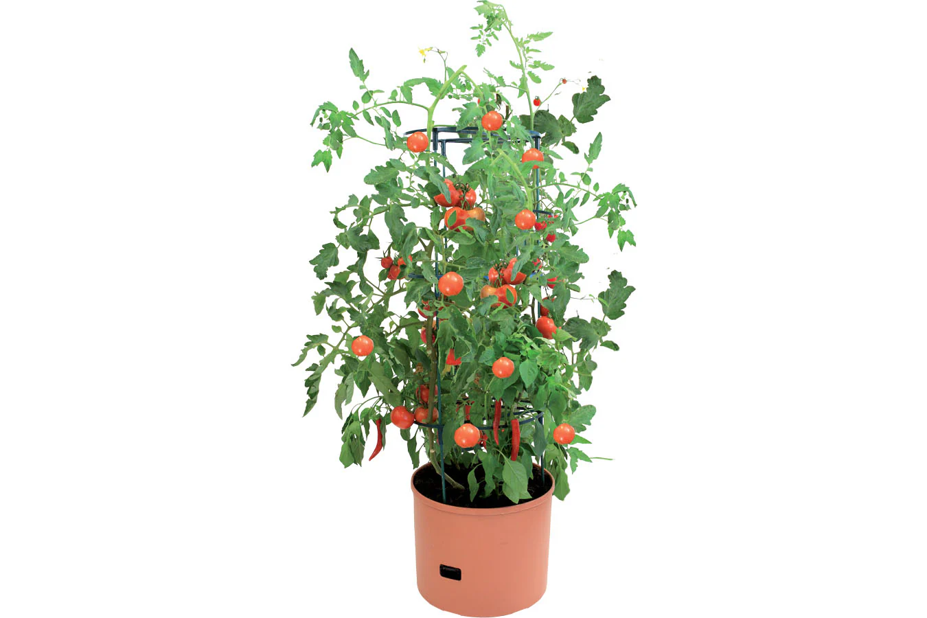 Greenlife Jumbo Tomato Growing Tower with Self Watering Pot - Terracotta