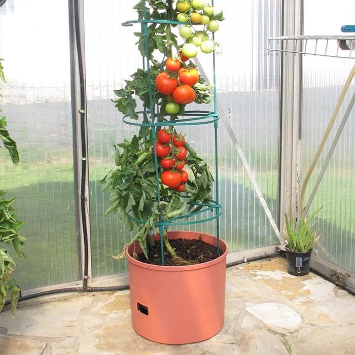 Greenlife Jumbo Tomato Growing Tower with Self Watering Pot - Terracotta - Image 3