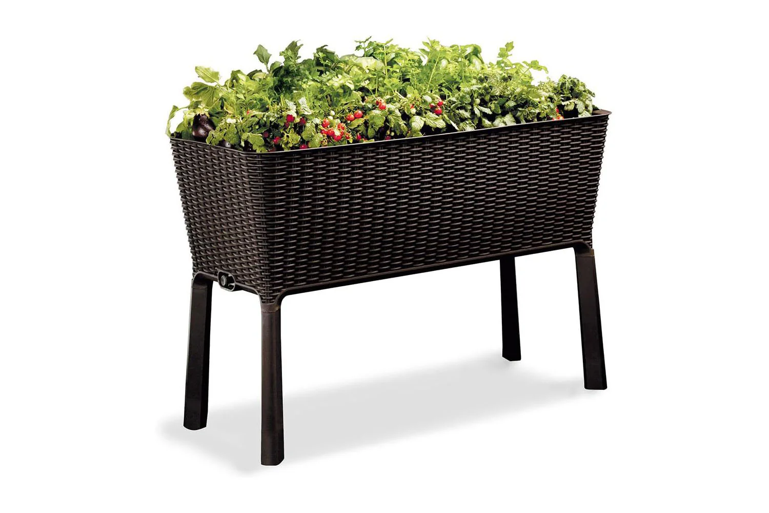 Keter Easy Grow Resin Self Watering Raised Garden Planter Dark Brown
