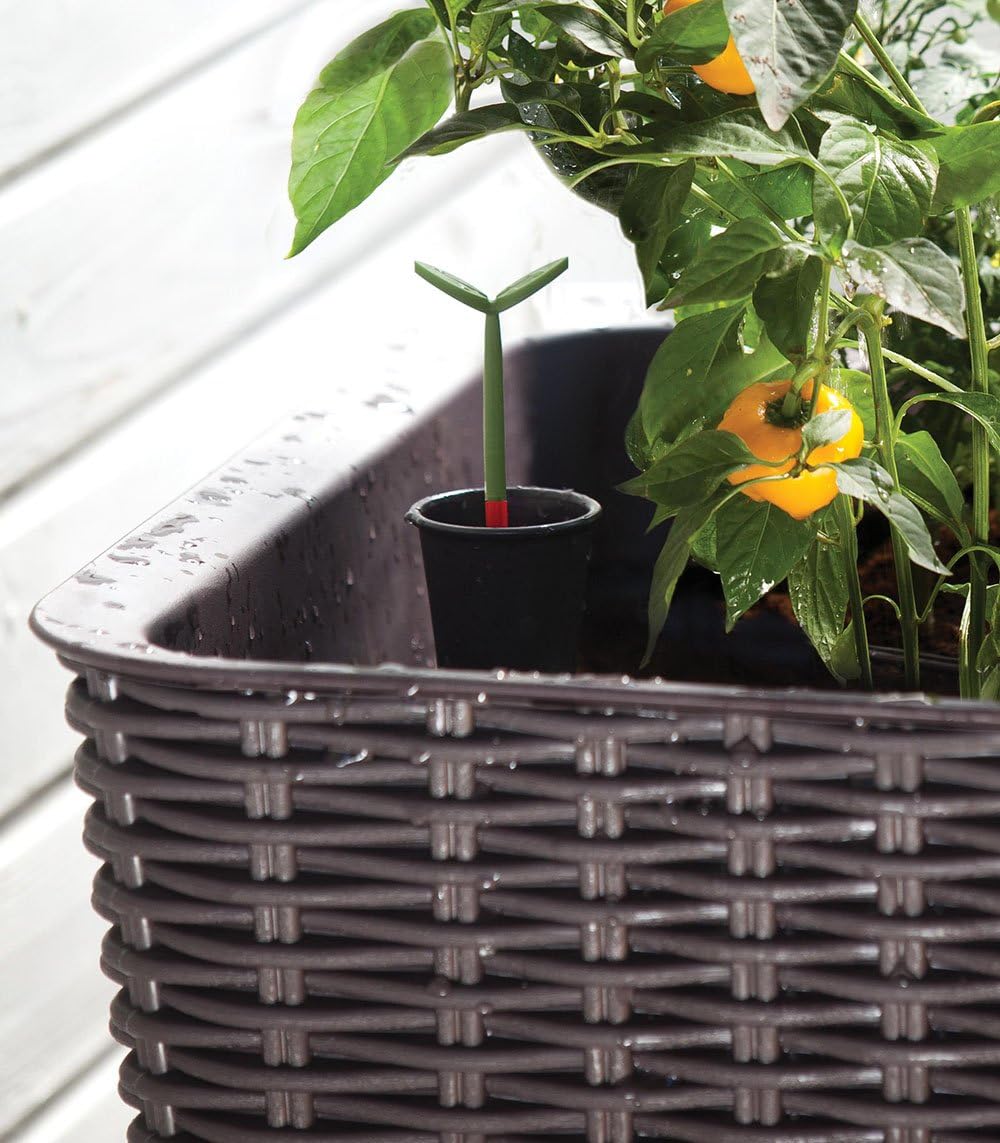 Keter Easy Grow Resin Self Watering Raised Garden Planter Dark Brown - Image 10