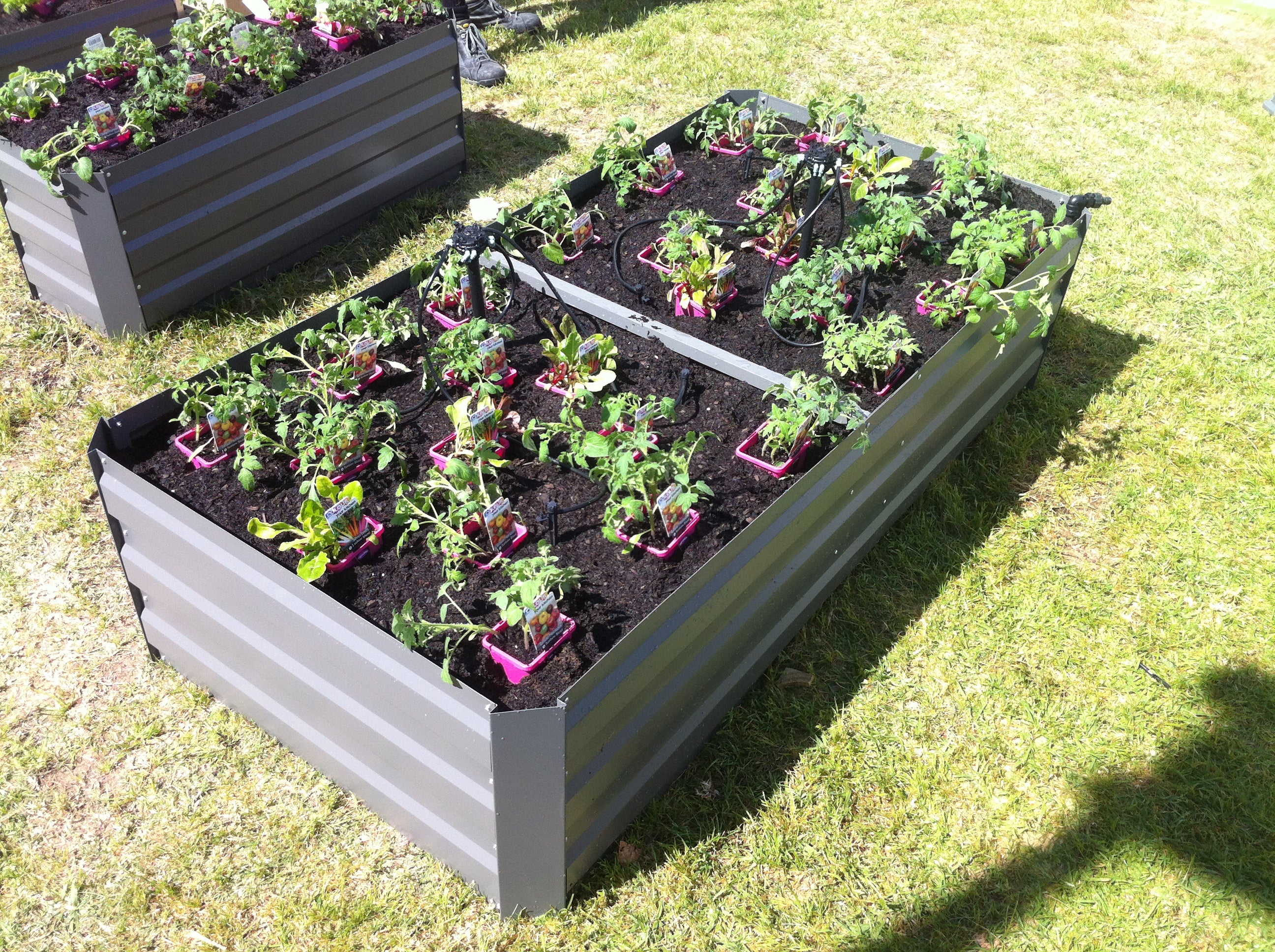 Greenlife Premium Large Garden Bed Slate Grey + Drop Over PE Greenhouse 1850 x 950 x 1020 - Image 5