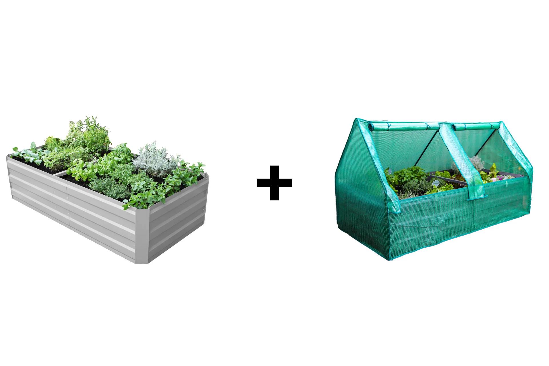 Greenlife Premium Large Garden Bed Vintage White + Drop Over PE Greenhouse 1850 x 950 x 1020