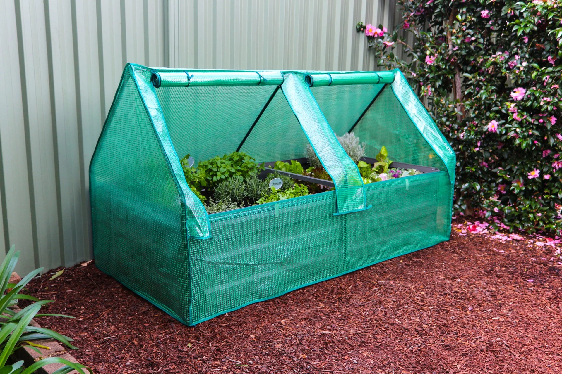 Greenlife Premium Large Garden Bed Vintage White + Drop Over PE Greenhouse 1850 x 950 x 1020 - Image 3