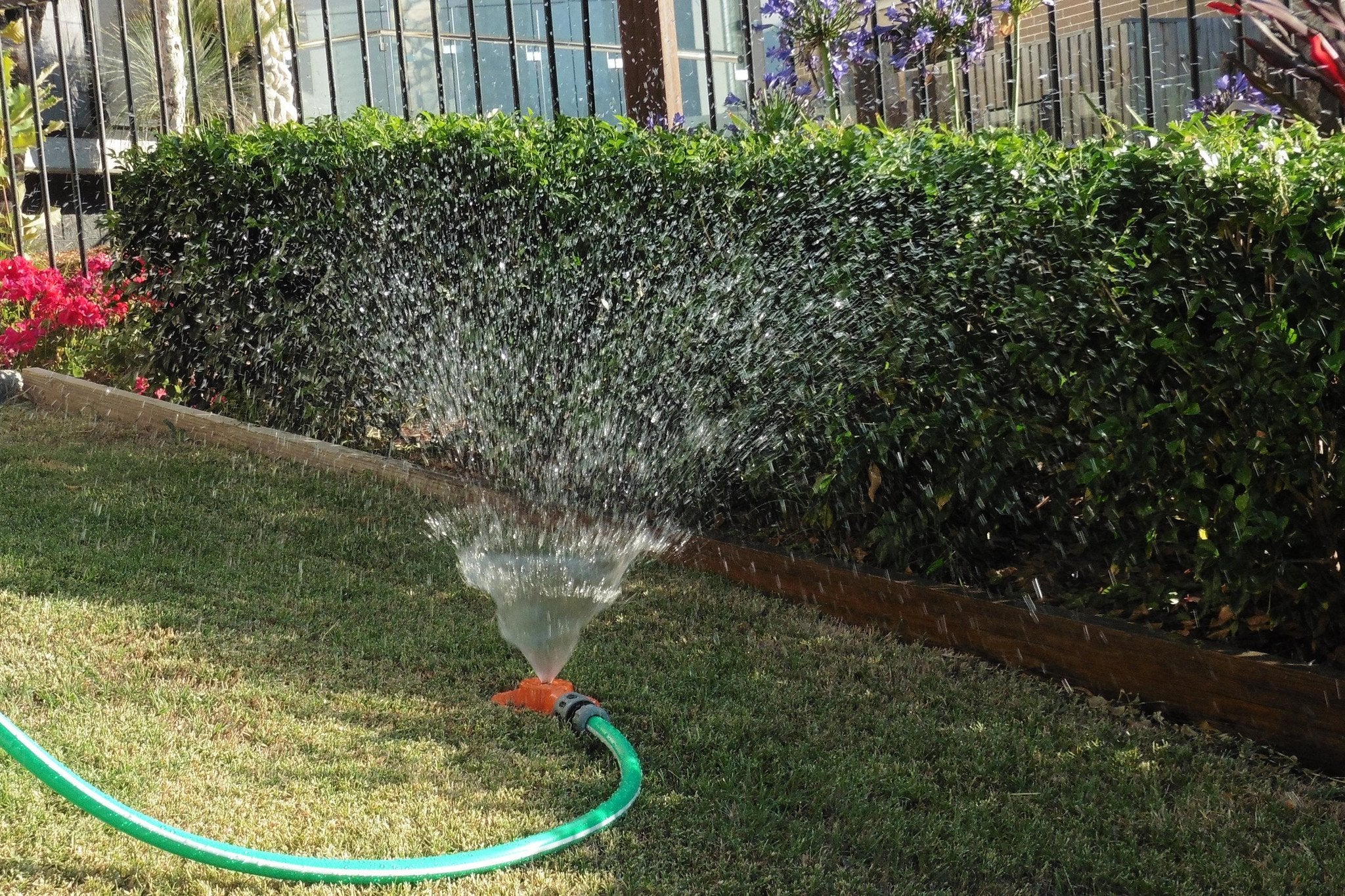 Dad's Favourite Lawn and Garden Metal Sprinkler - Orange - Image 2