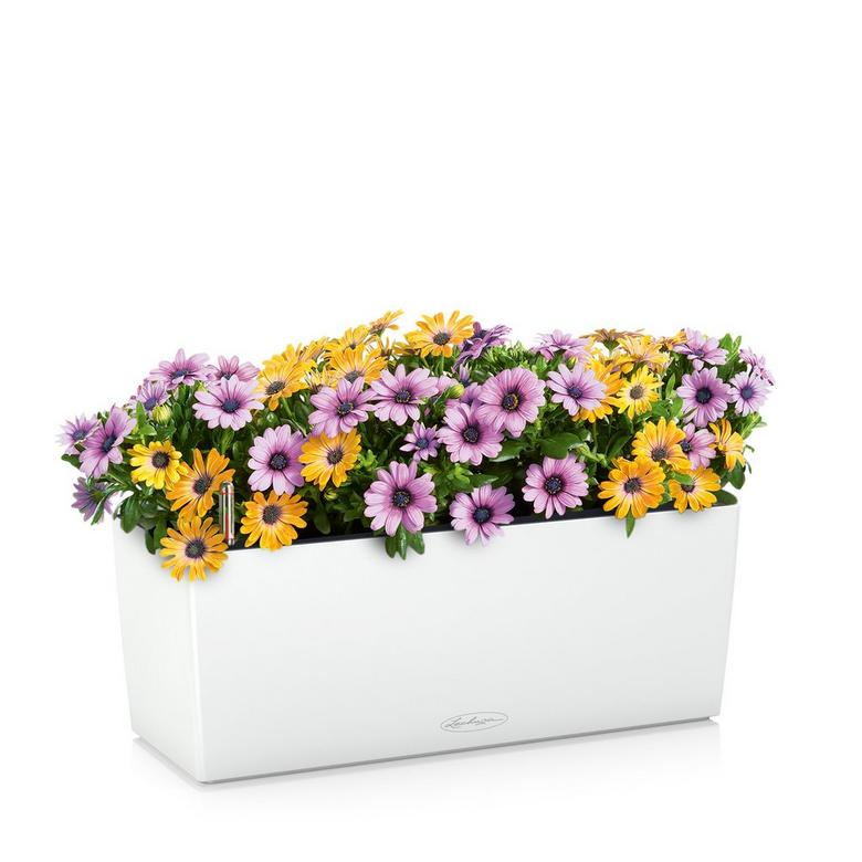 Lechuza Self-Watering Planter Box - BALCONERA Color 50