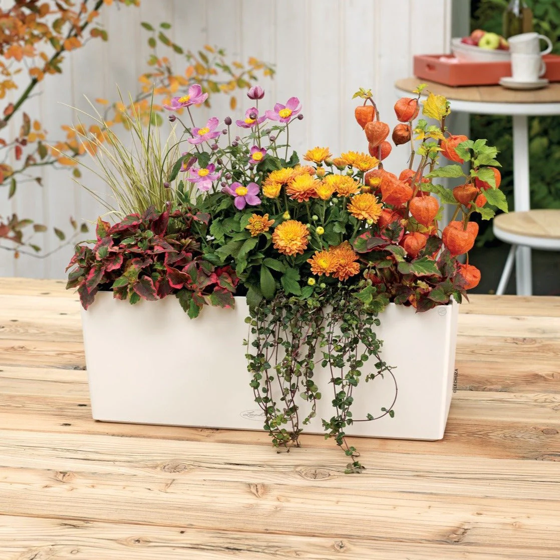 Lechuza Self-Watering Planter Box - BALCONERA Color 50 - Image 10