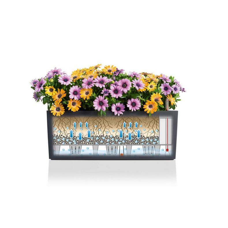 Lechuza Self-Watering Planter Box - BALCONERA Color 50 - Image 5