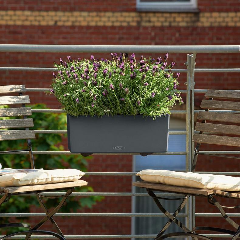 Lechuza Self-Watering Planter Box - BALCONERA Color 50 - Image 8