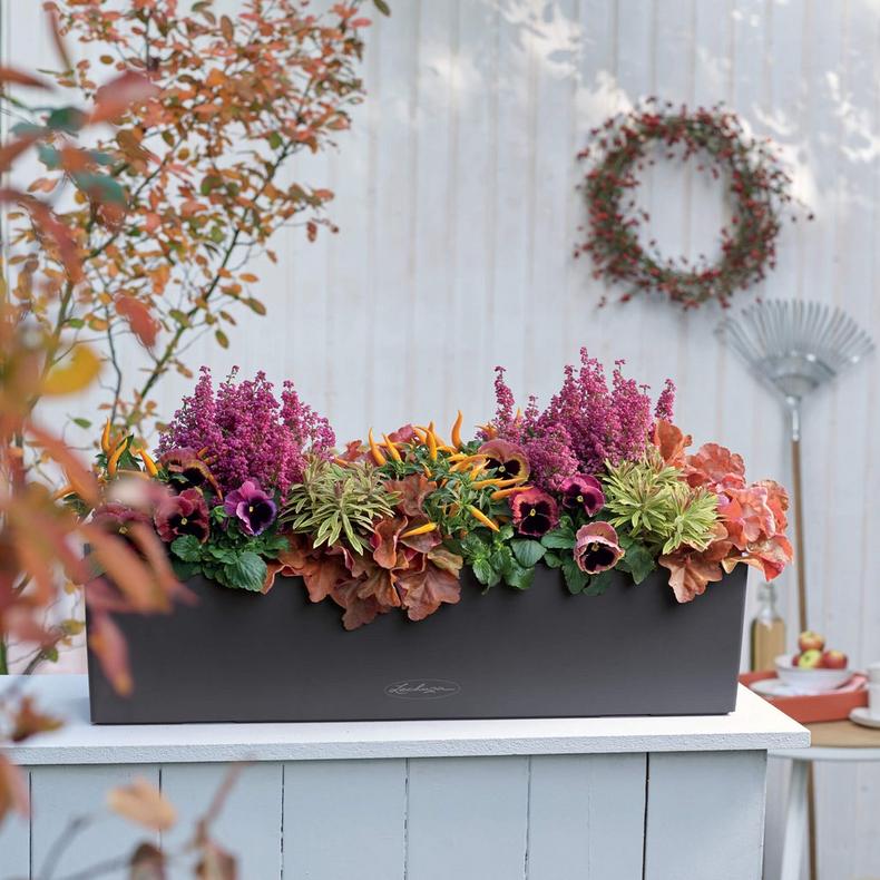 Lechuza Self-Watering Planter Box - BALCONERA Color 80 - Image 11