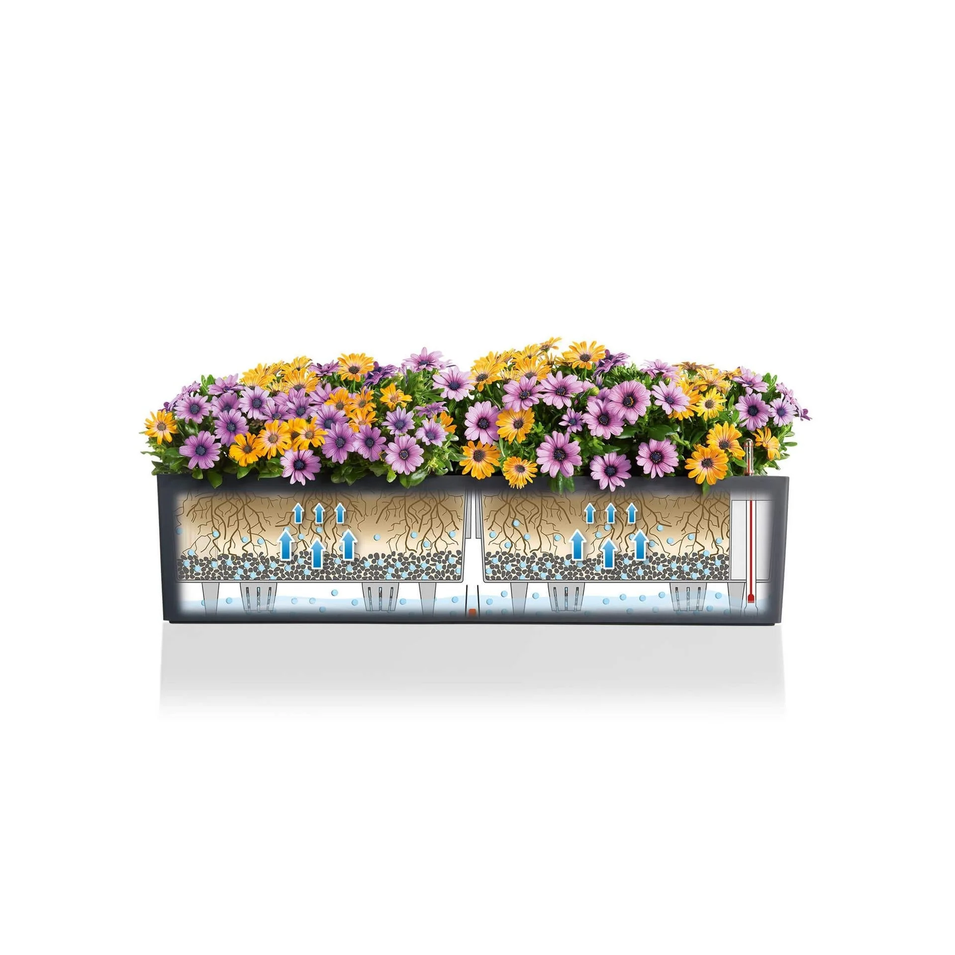 Lechuza Self-Watering Planter Box - BALCONERA Color 80 - Image 5