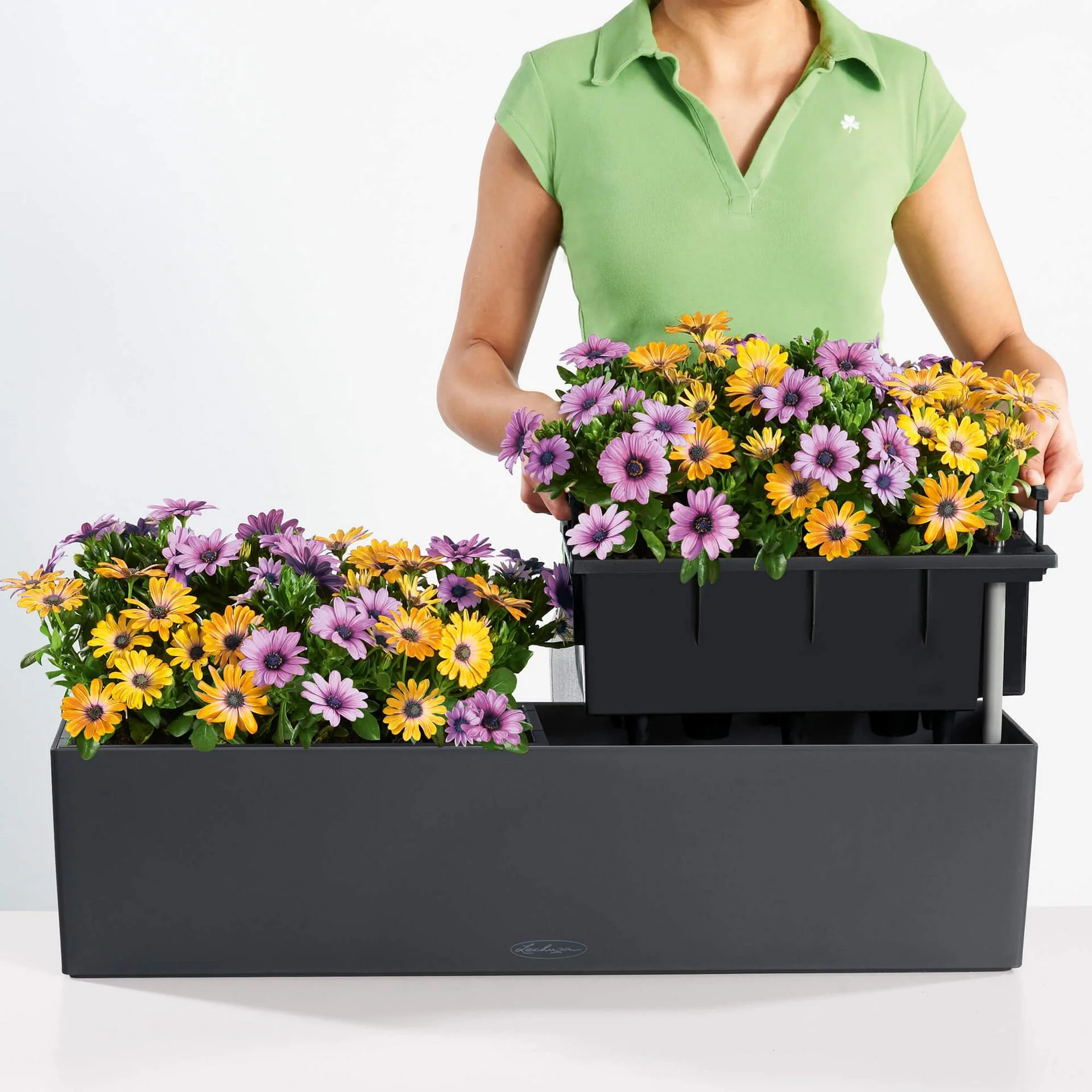 Lechuza Self-Watering Planter Box - BALCONERA Color 80 - Image 6