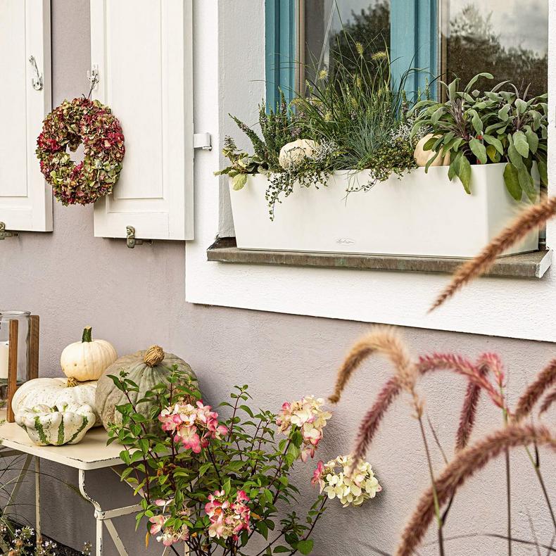 Lechuza Self-Watering Planter Box - BALCONERA Color 80 - Image 9