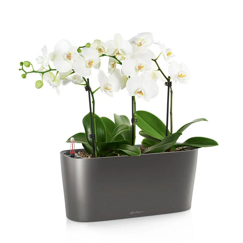Lechuza Self-Watering Planter Box - DELTA 10