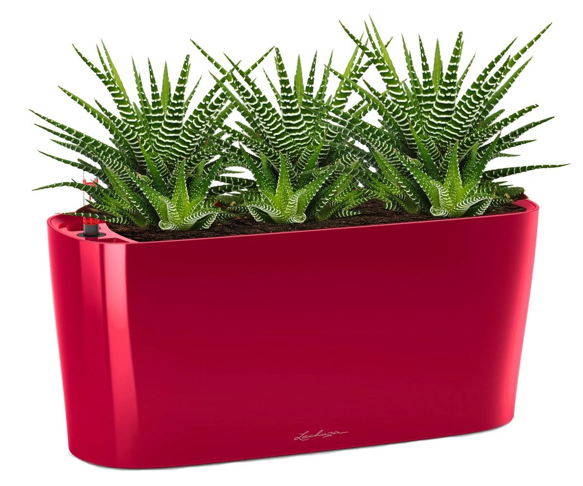 Lechuza Self-Watering Planter Box - DELTA 20 - Image 11
