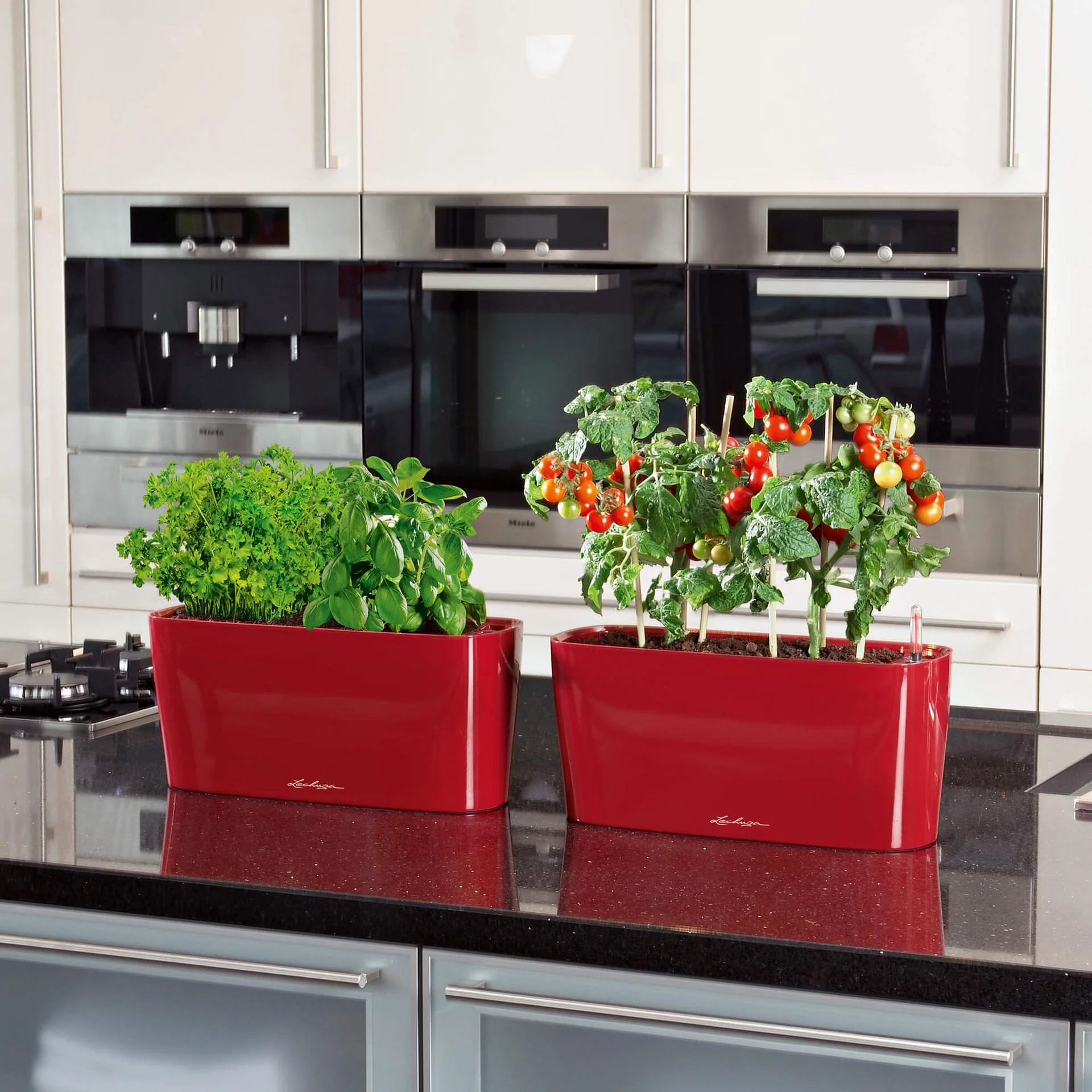 Lechuza Self-Watering Planter Box - DELTA 20 - Image 12