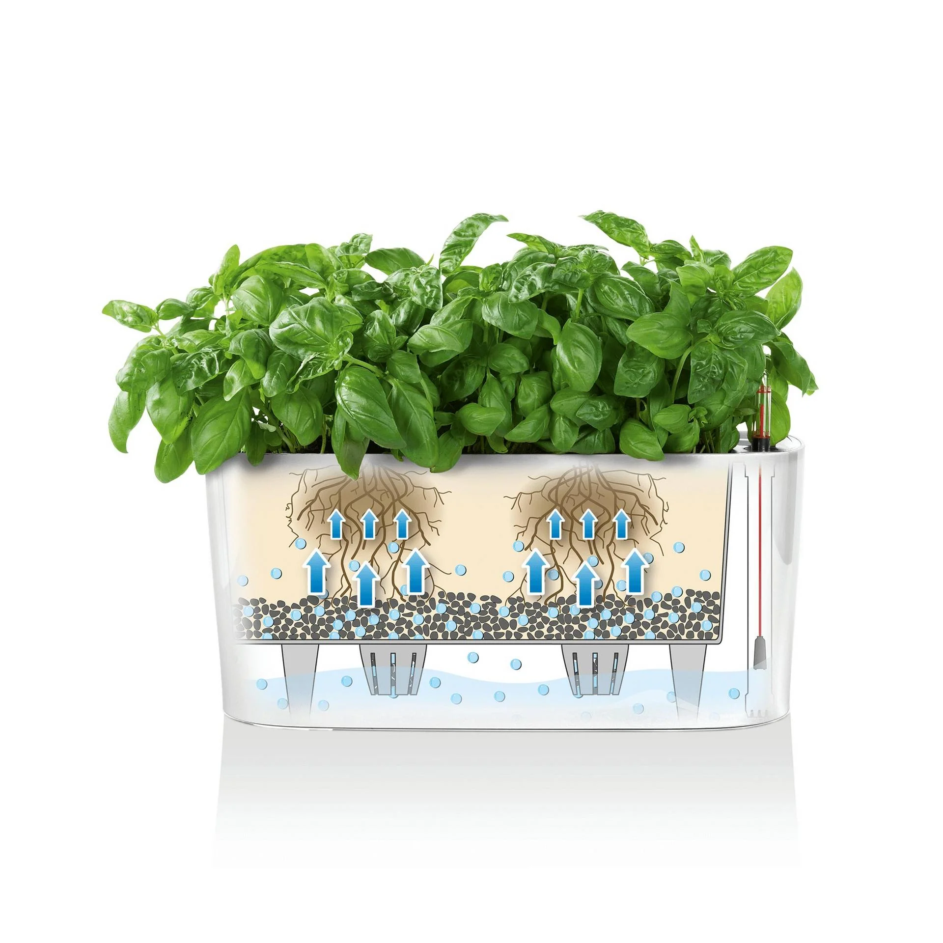 Lechuza Self-Watering Planter Box - DELTA 20 - Image 7