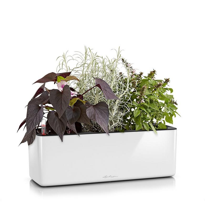 Lechuza Self Watering Planter Box - Glossy CUBE Triple
