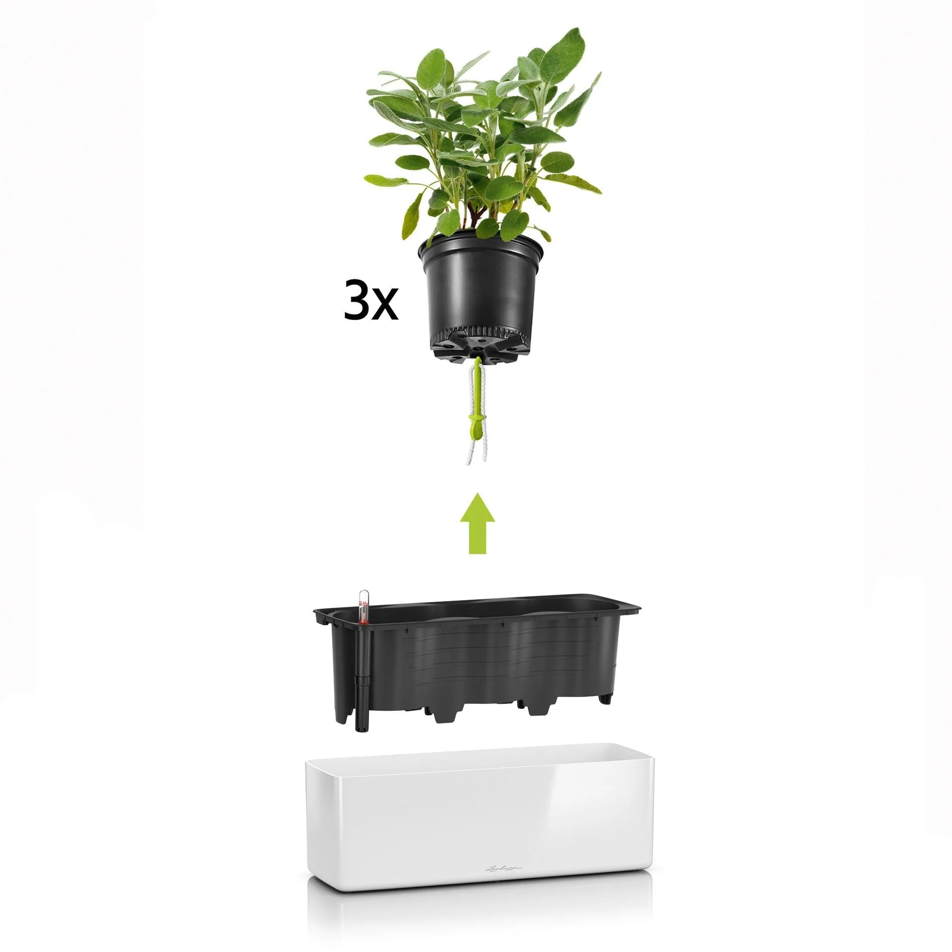 Lechuza Self Watering Planter Box - Glossy CUBE Triple - Image 6