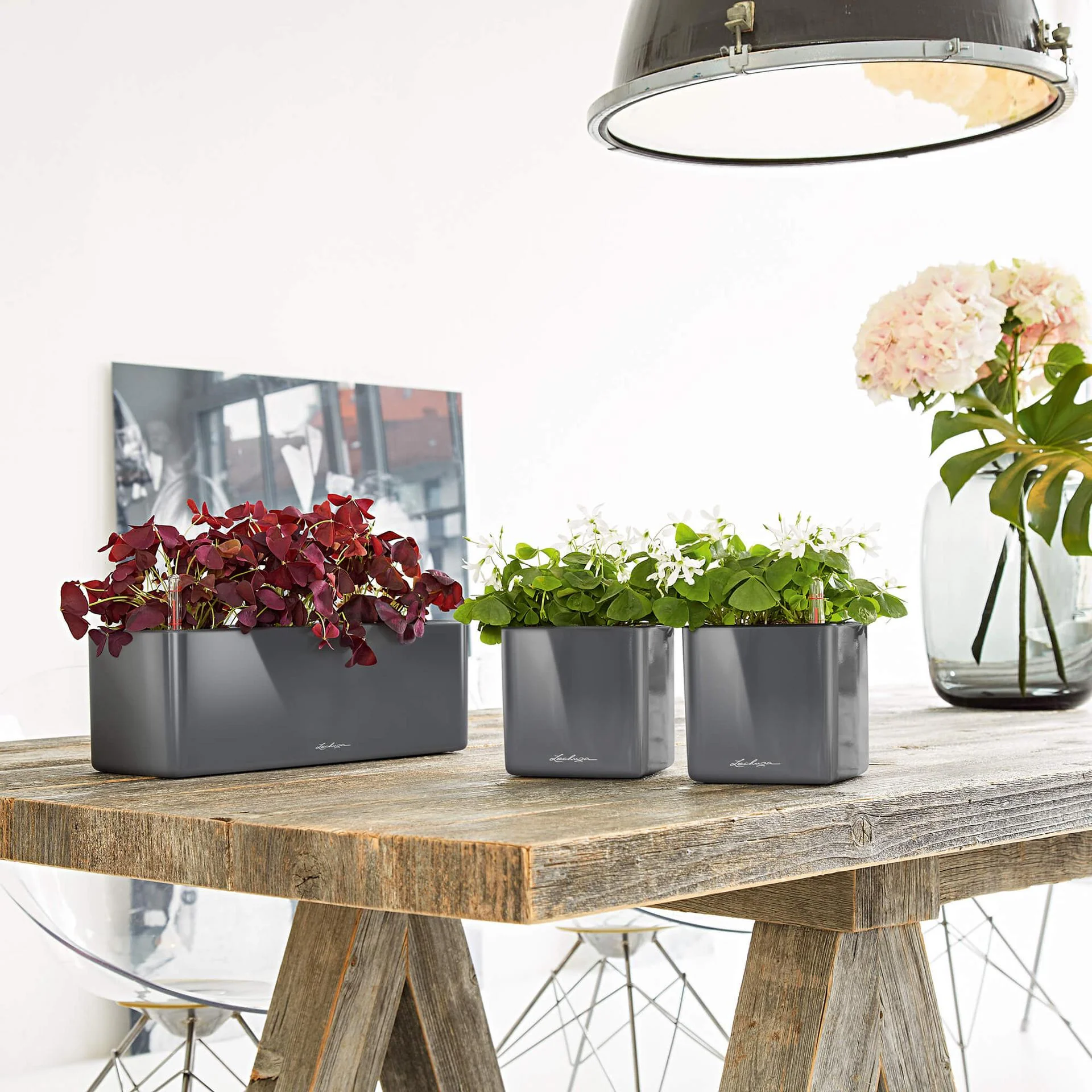 Lechuza Self Watering Planter Box - Glossy CUBE Triple - Image 8