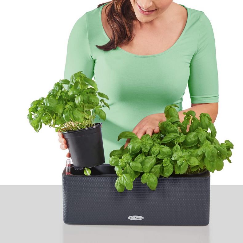 Lechuza Self-Watering Planter Box - PURO CUBE Color Triple - Image 11