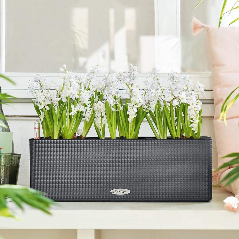 Lechuza Self-Watering Planter Box - PURO CUBE Color Triple - Image 13