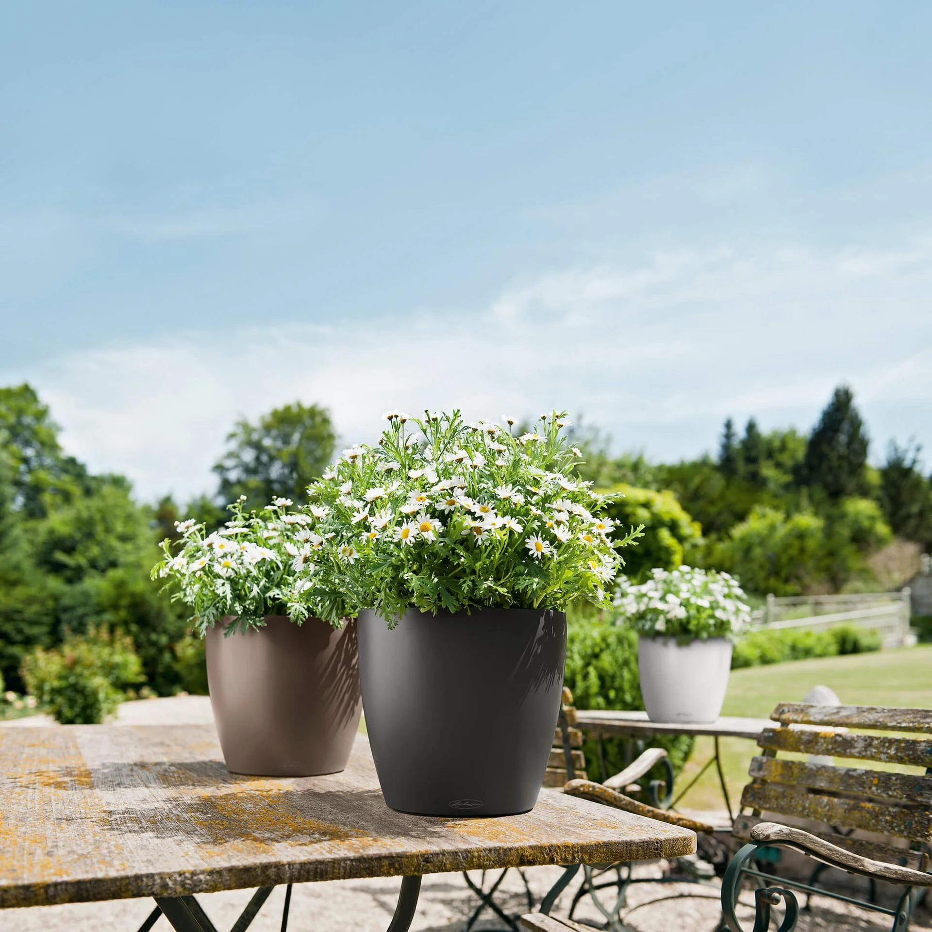 Lechuza Self-Watering Pot - CLASSICO Color 28 - Image 10