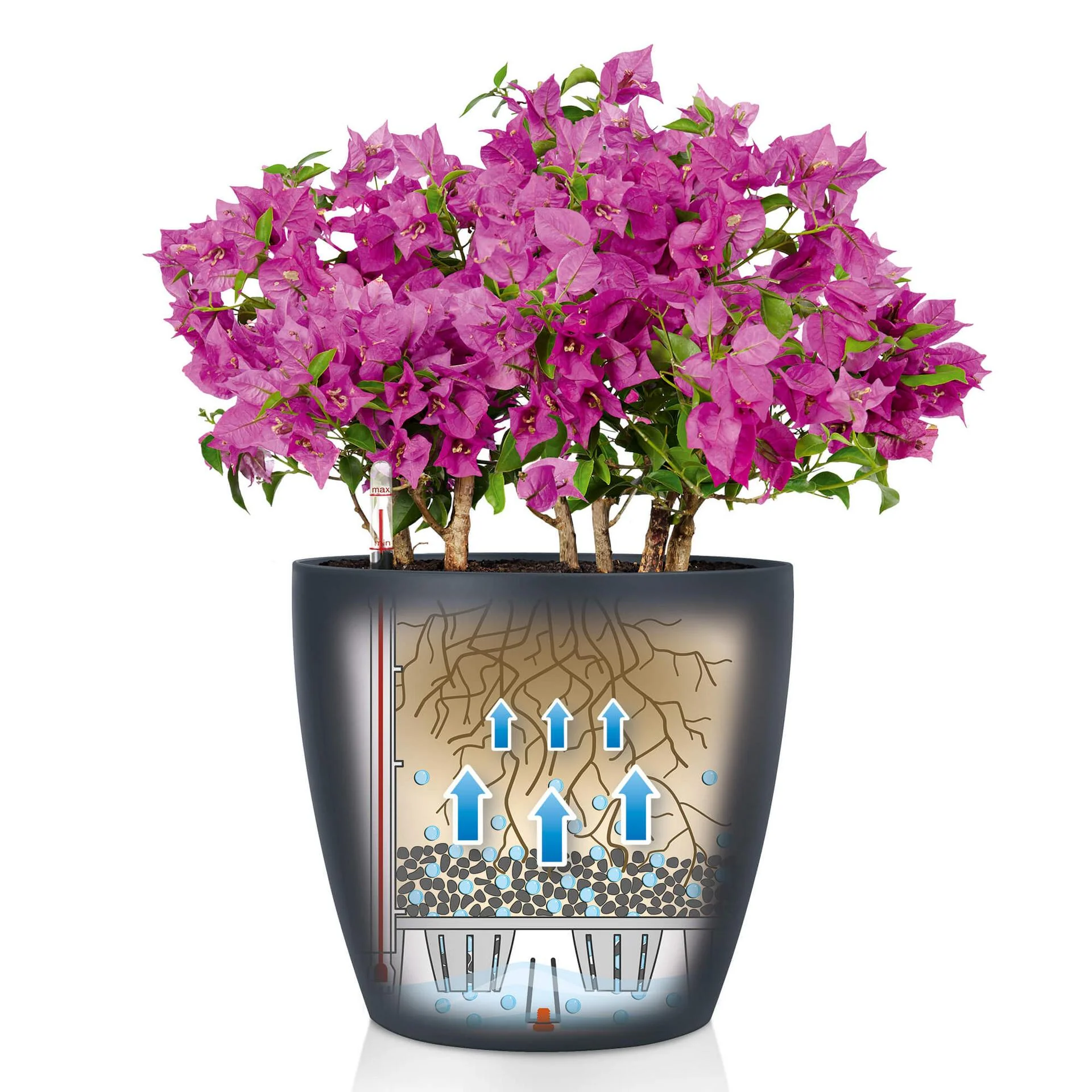 Lechuza Self-Watering Pot - CLASSICO Color 28 - Image 6