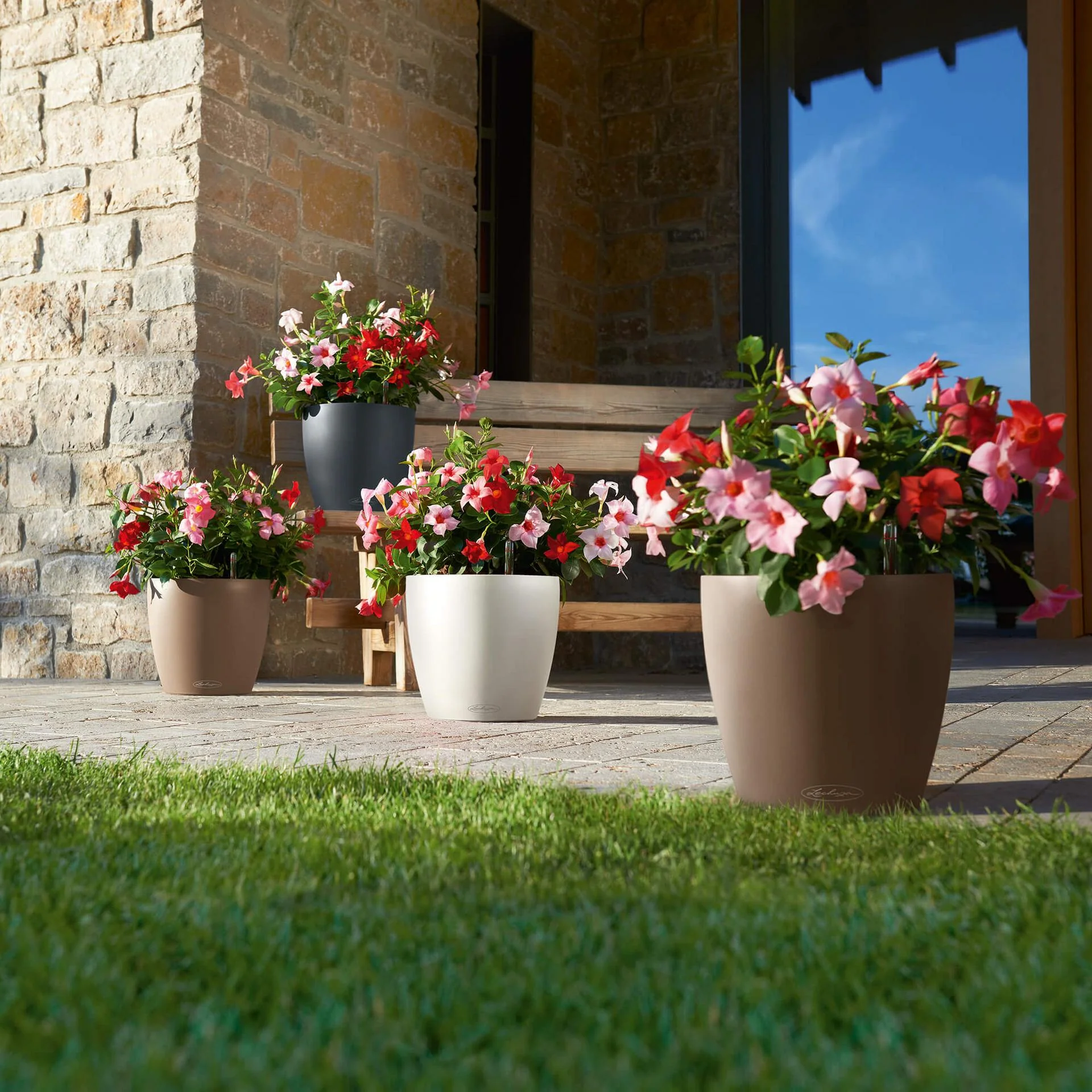 Lechuza Self-Watering Pot - CLASSICO Color 28 - Image 8
