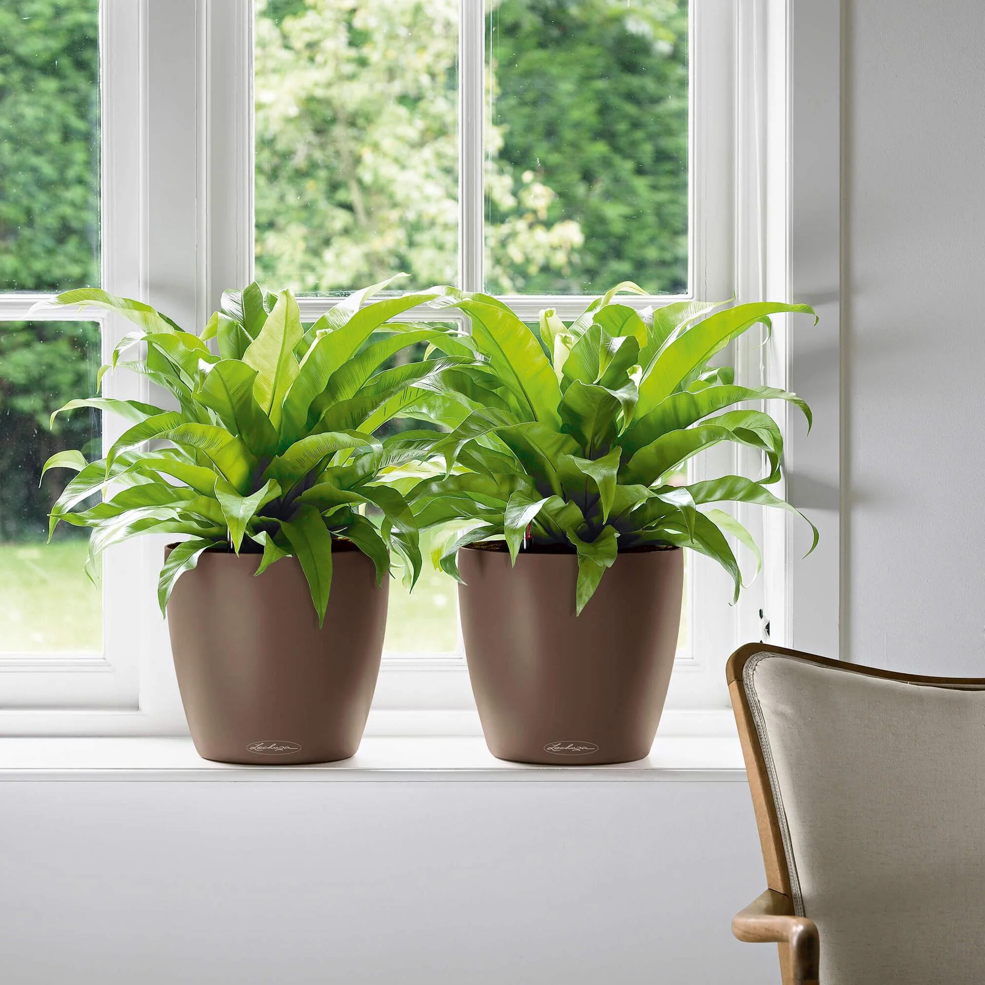 Lechuza Self-Watering Pot - CLASSICO Color 35 - Image 10