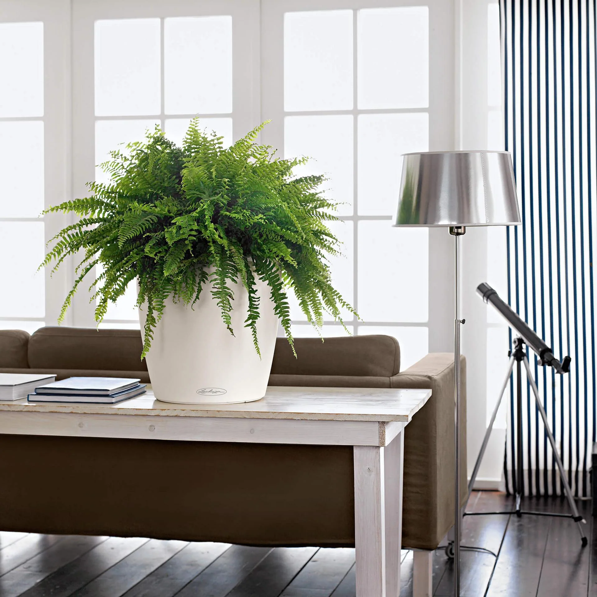 Lechuza Self-Watering Pot - CLASSICO Color 35 - Image 12