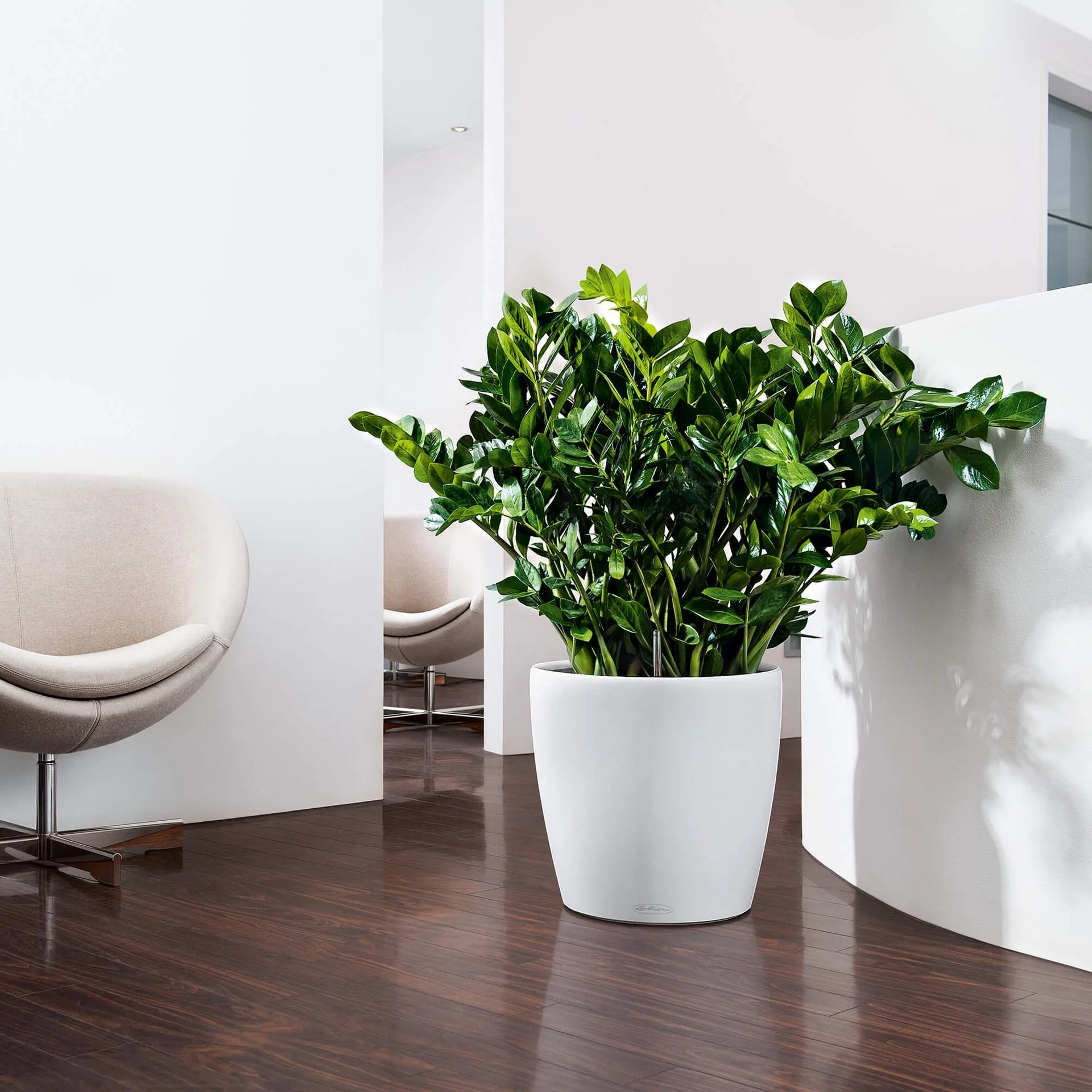 Lechuza Self-Watering Pot - CLASSICO Color 35 - Image 9