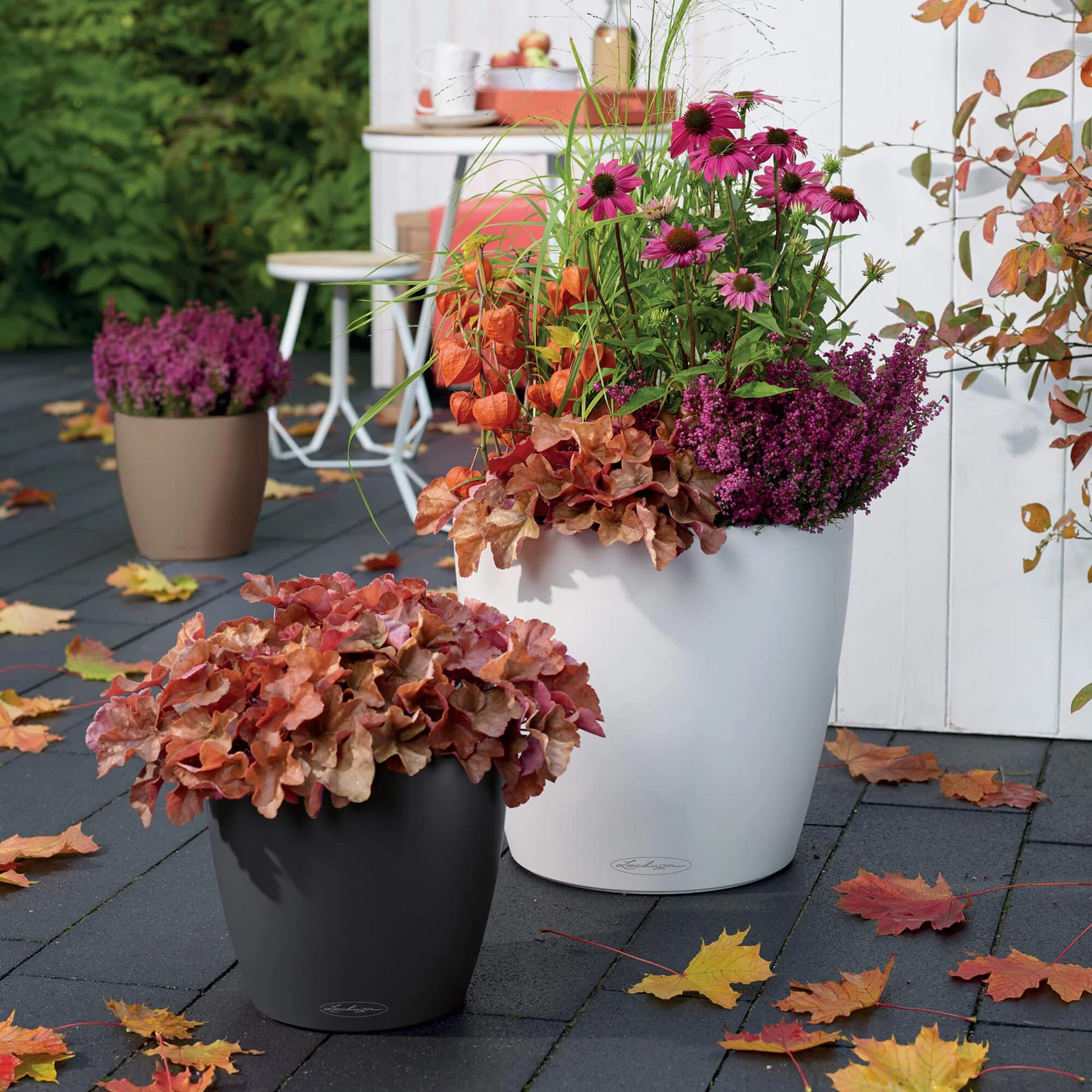 Lechuza Self-Watering Pot - CLASSICO Color 43 - Image 9
