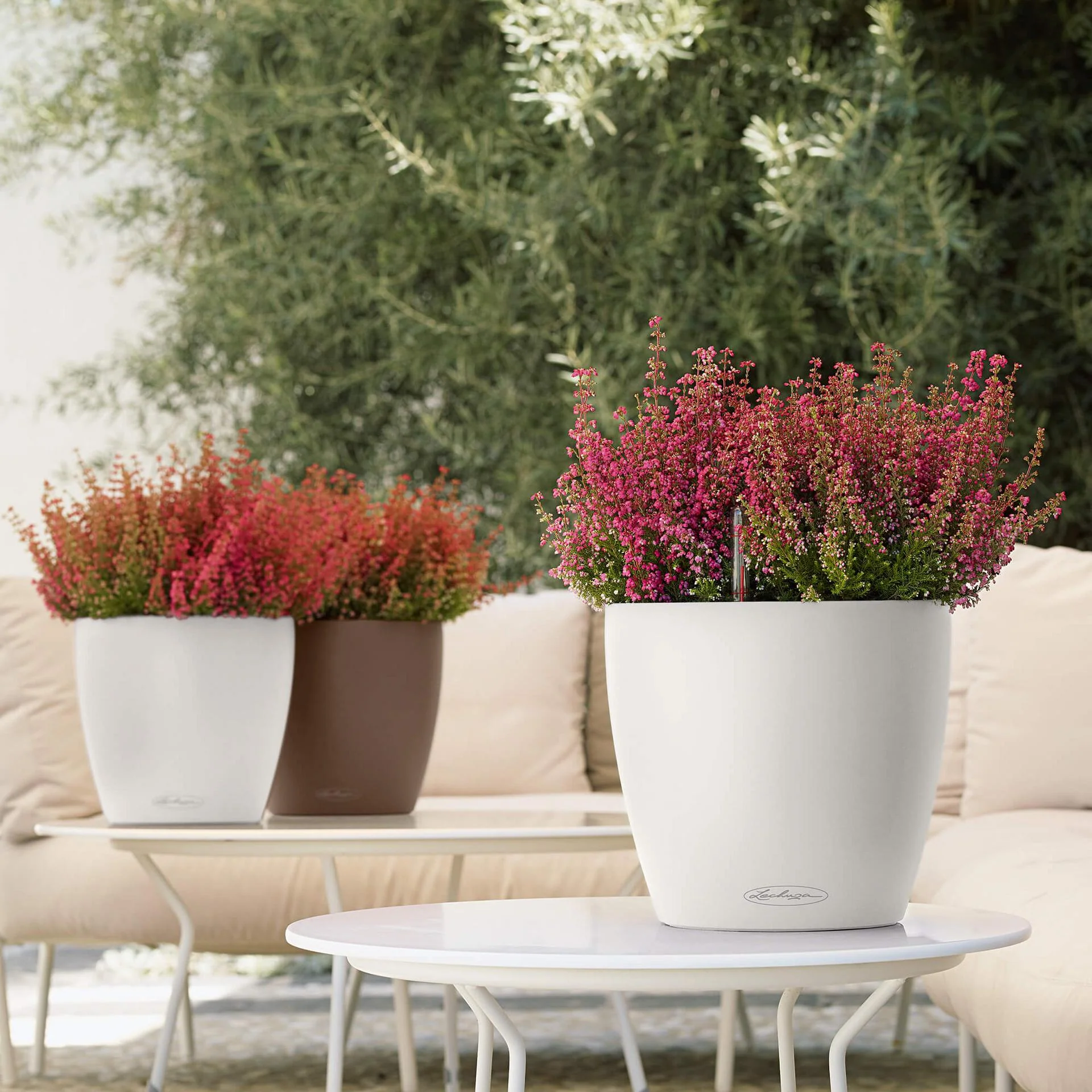Lechuza Self-Watering Pot - CLASSICO Color 21 - Image 7