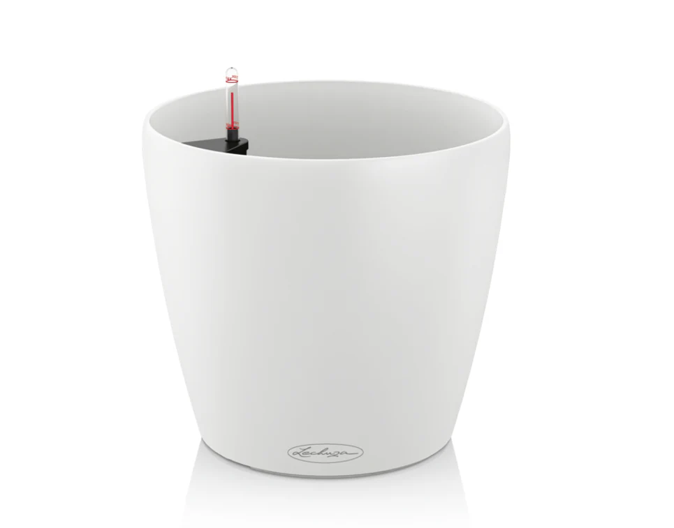 Lechuza Self-Watering Pot - CLASSICO Color 21 - Image 9