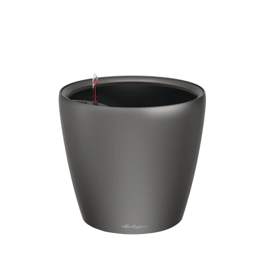 Lechuza Self-Watering Pot - CLASSICO LS 21 Premium - Image 4