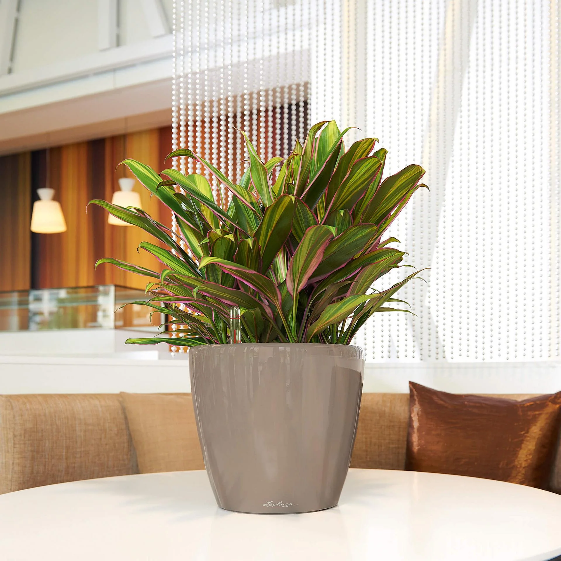 Lechuza Self-Watering Pot - CLASSICO LS 28 Premium - Image 11