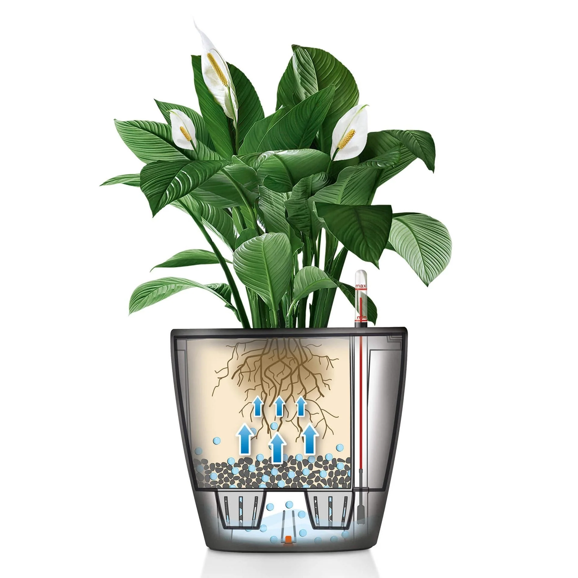Lechuza Self-Watering Pot - CLASSICO LS 50 Premium - Image 7